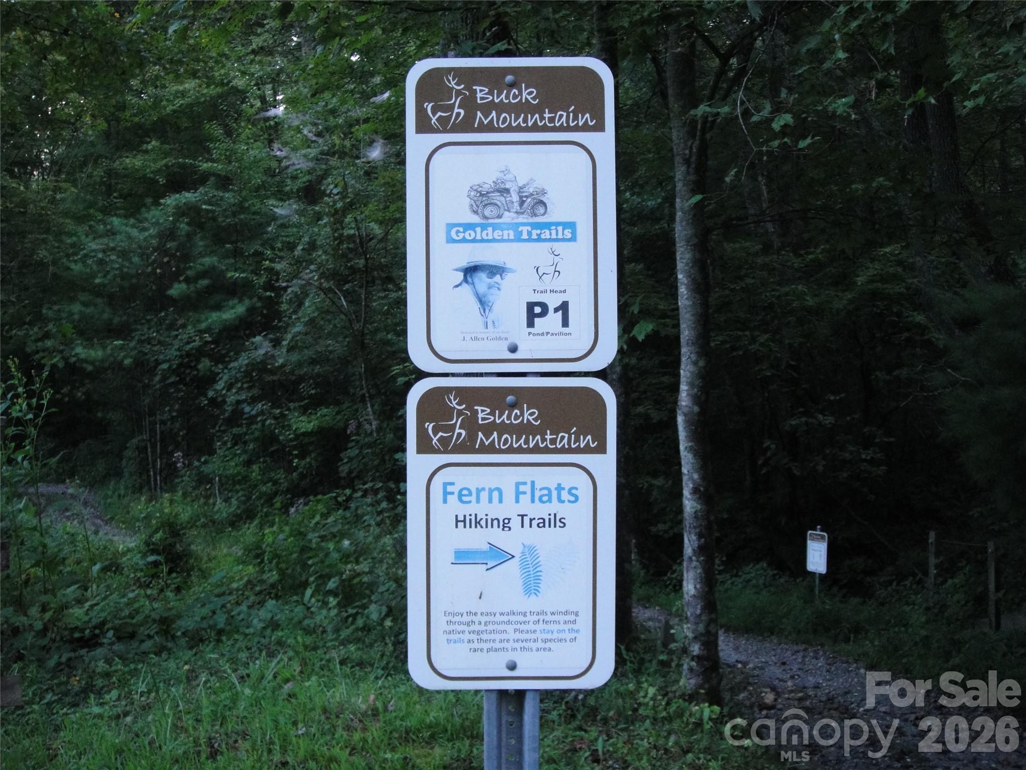 Buck Mountain - Land