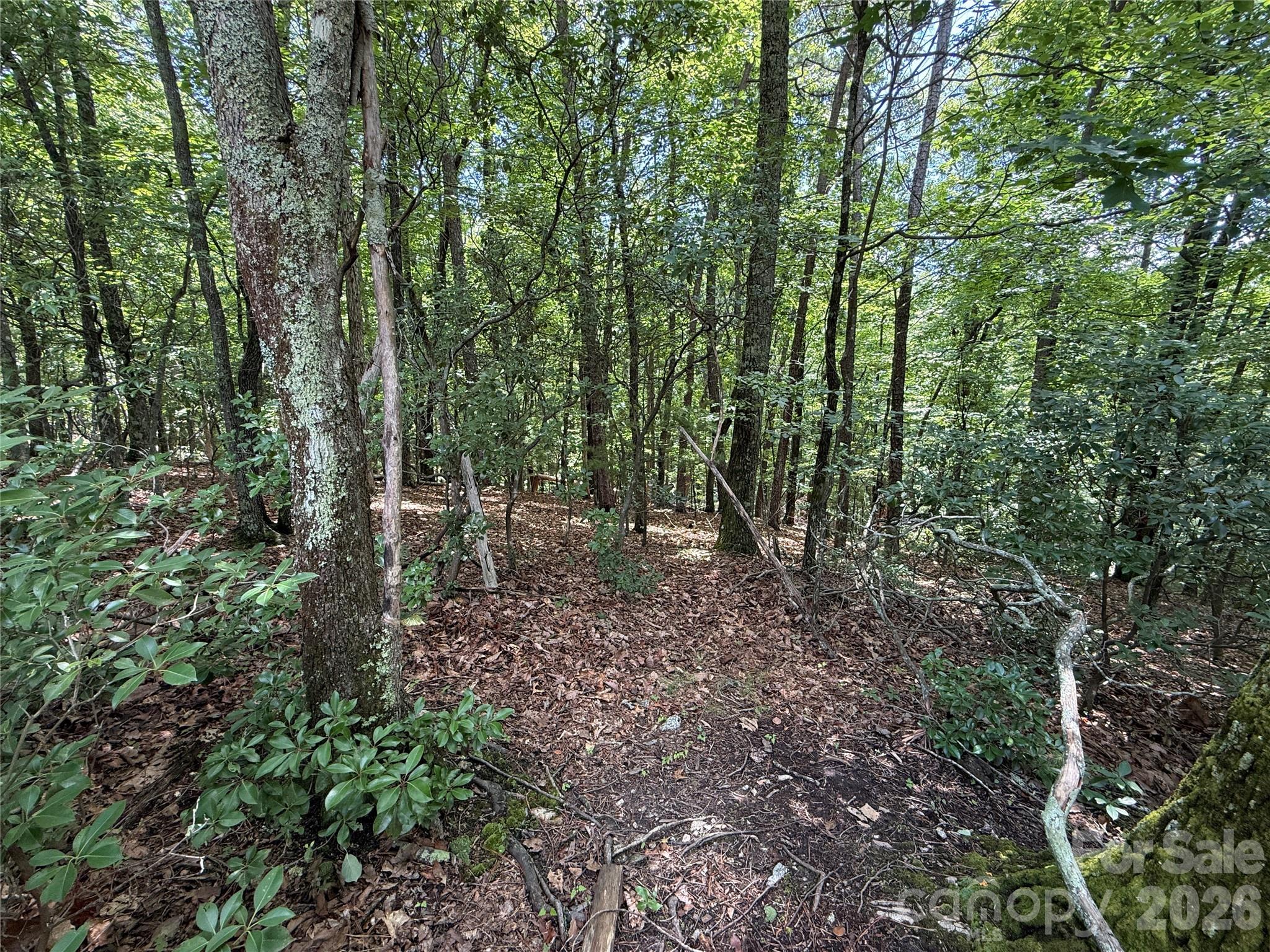 Buck Mountain - Land