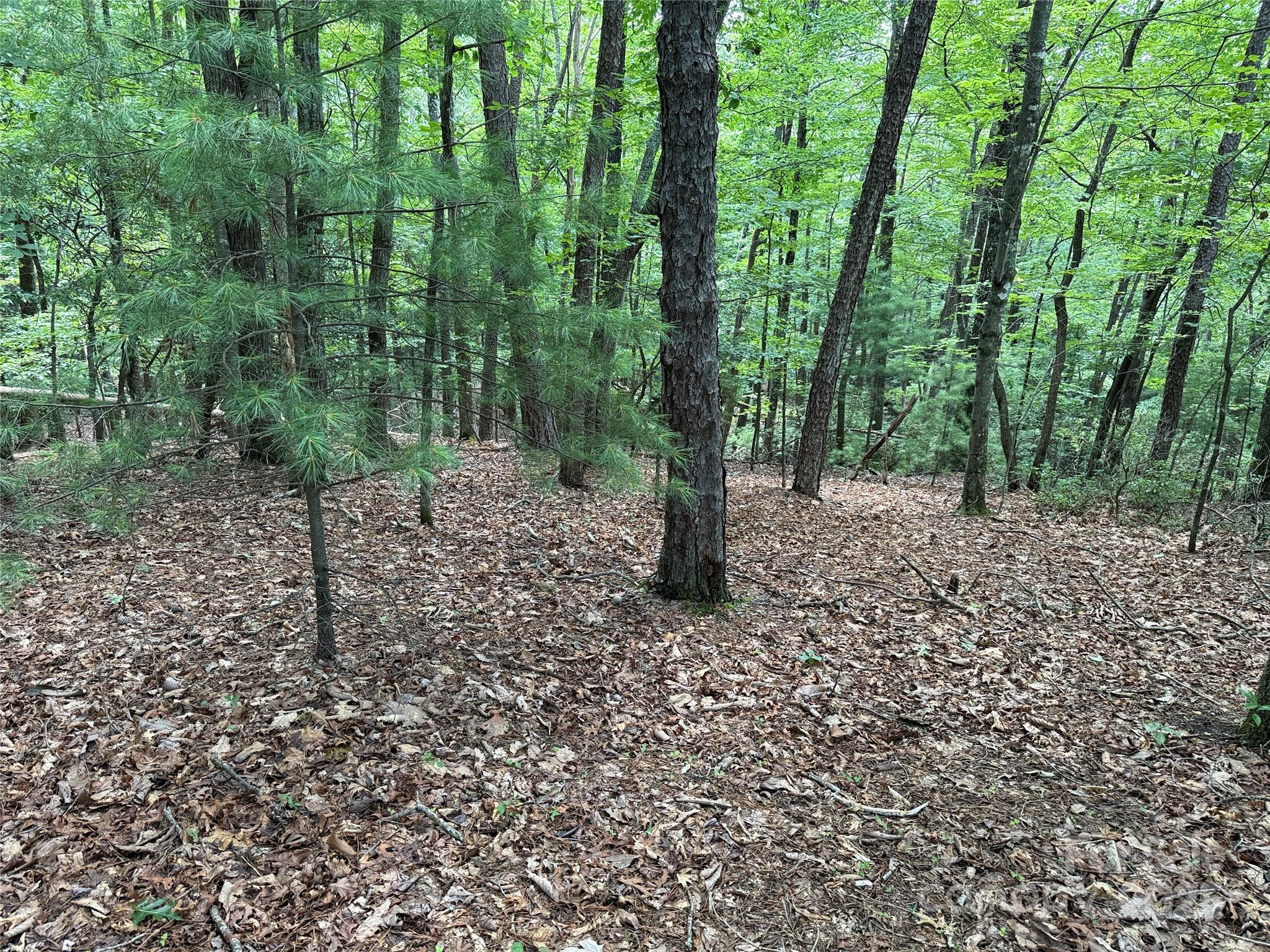 TBD Pine Burr Drive 139