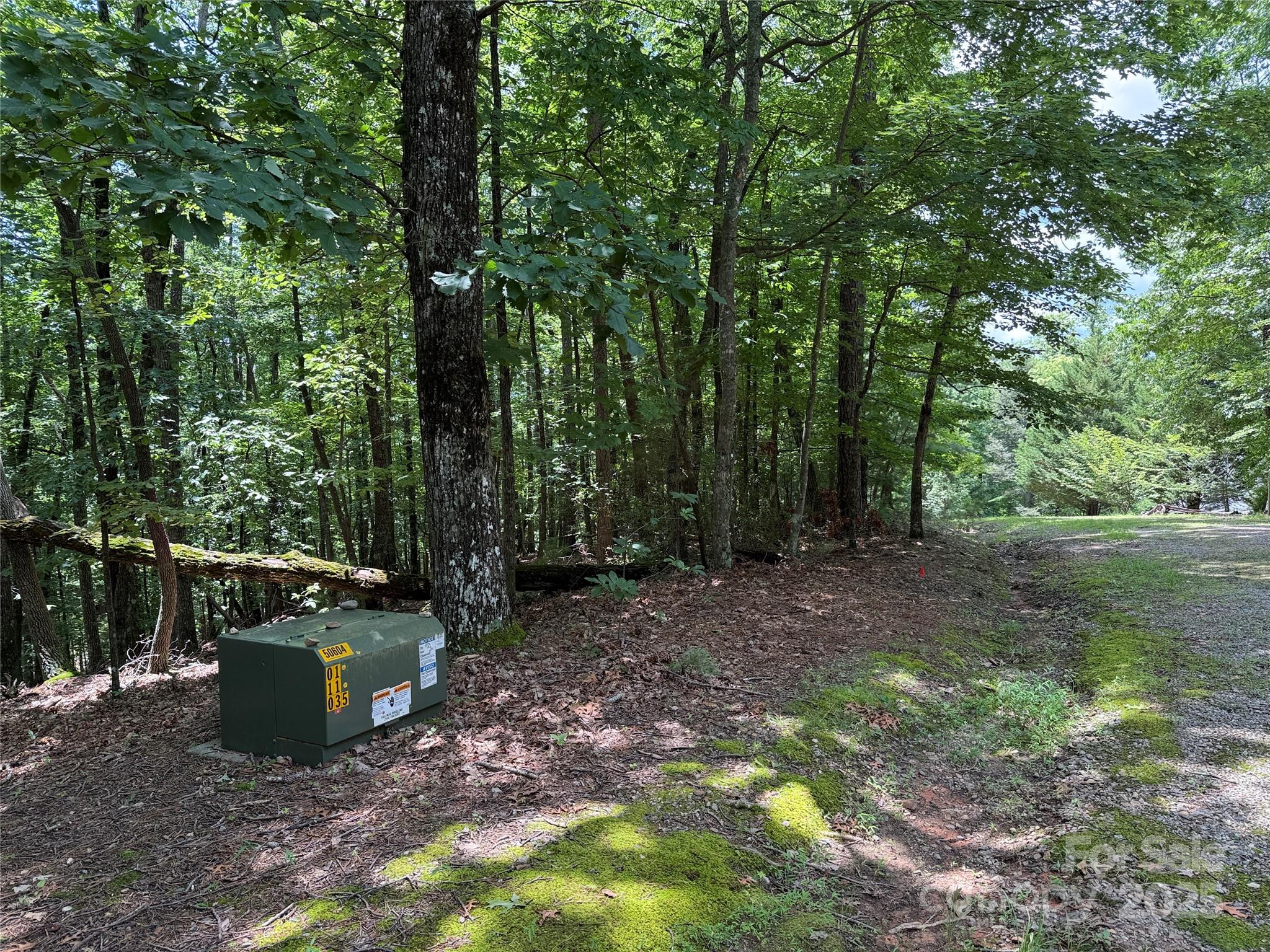 TBD Pine Burr Drive 139