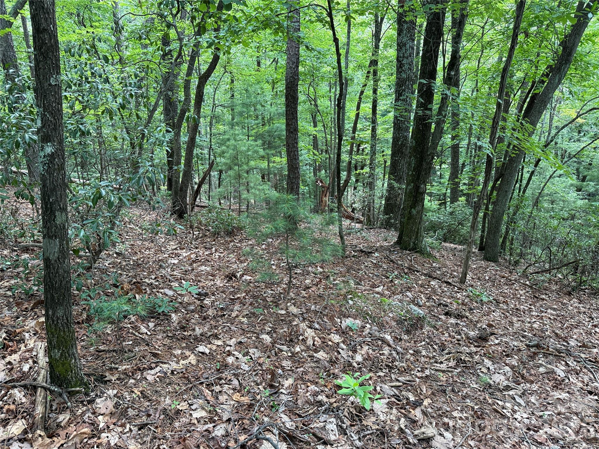 Buck Mountain - Land