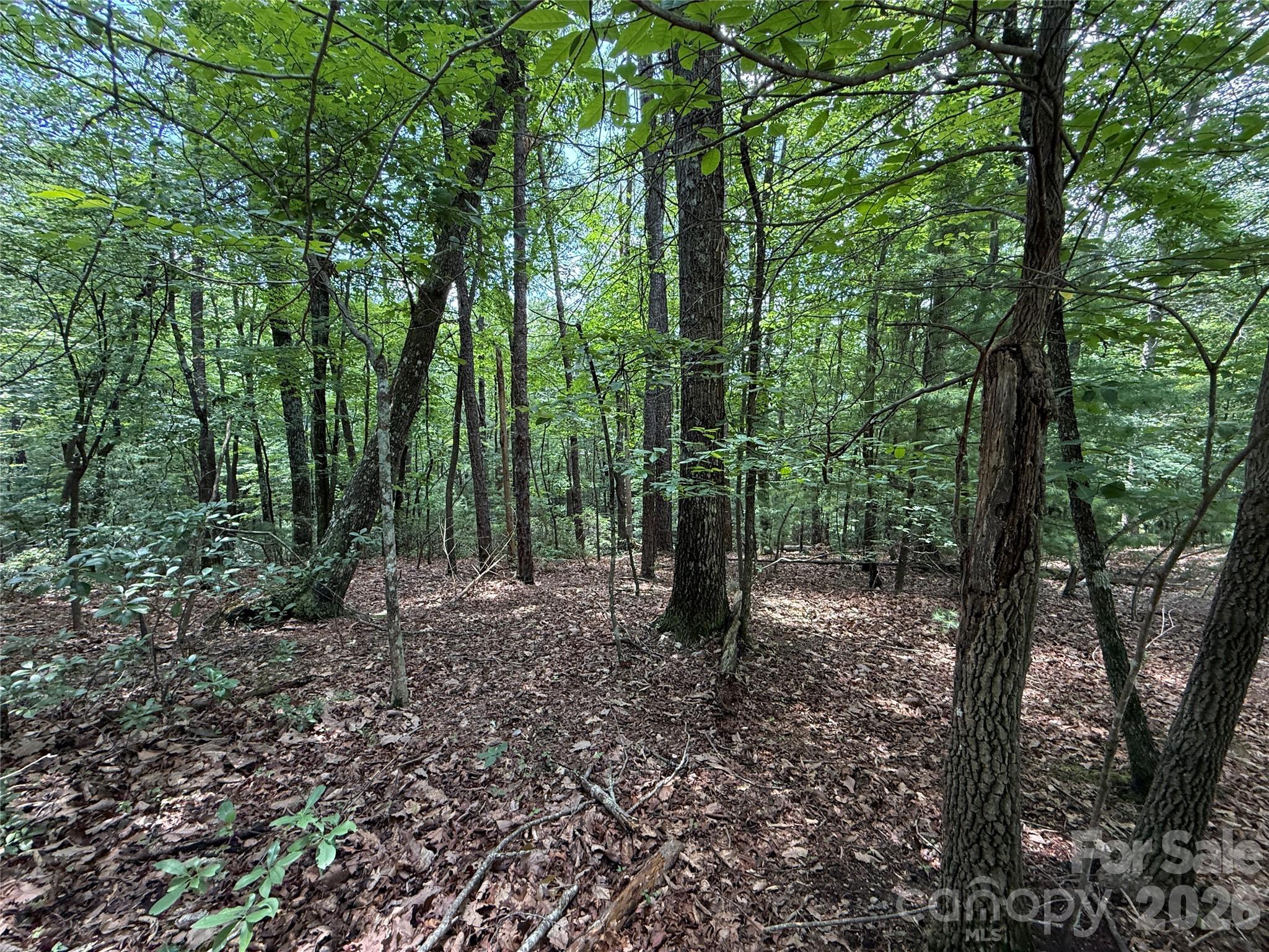 Buck Mountain - Land