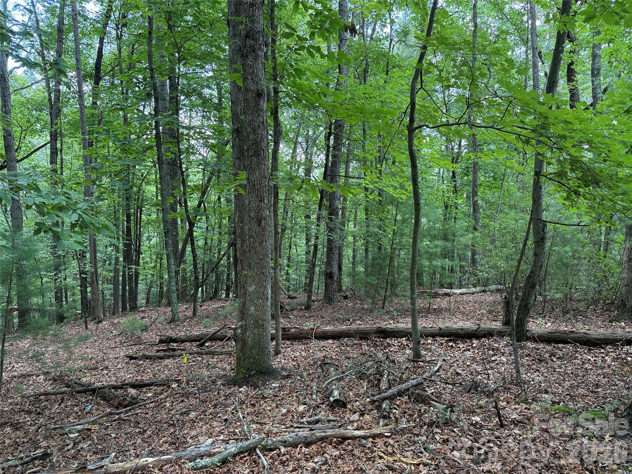 Buck Mountain - Land