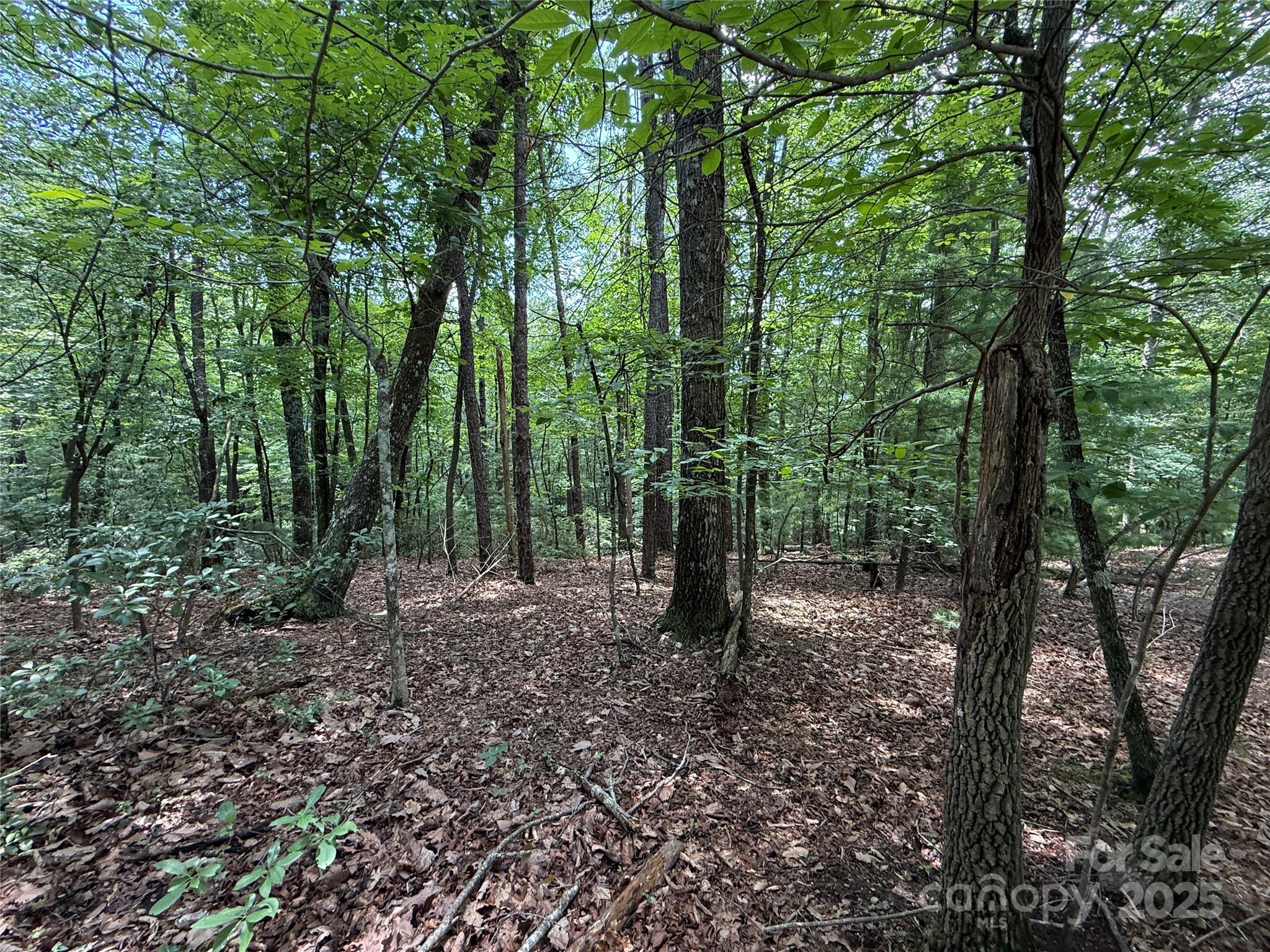 TBD Pine Burr Drive 139