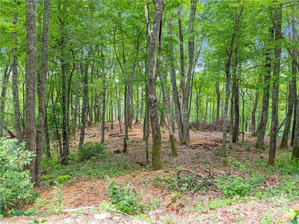 Sylva Vista Development - Residential