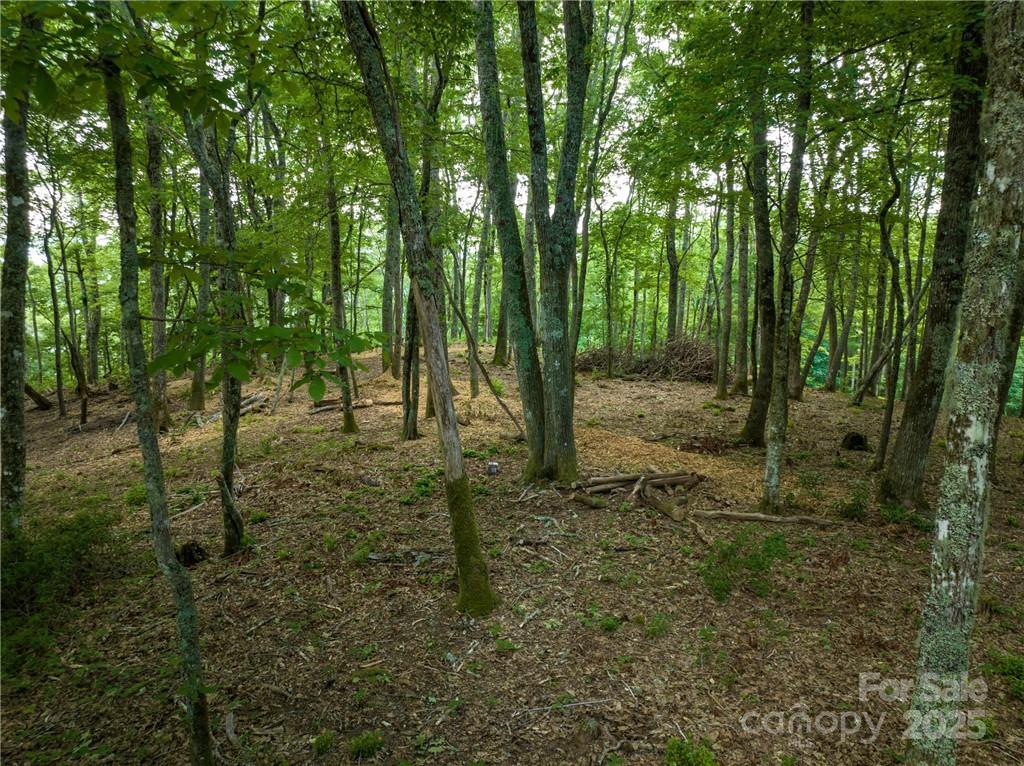 Sylva Vista Development - Residential