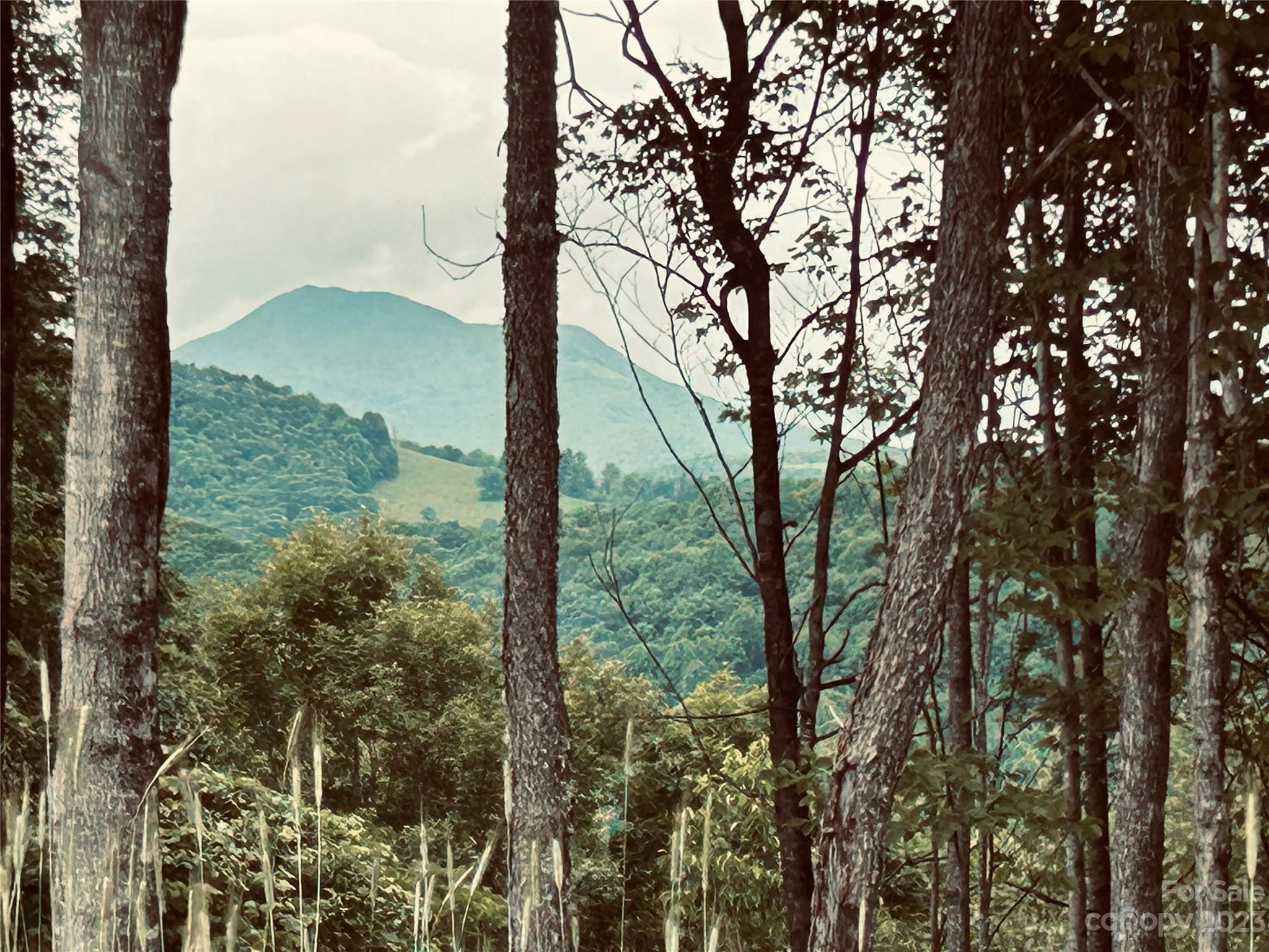 Poplar Forest - Land