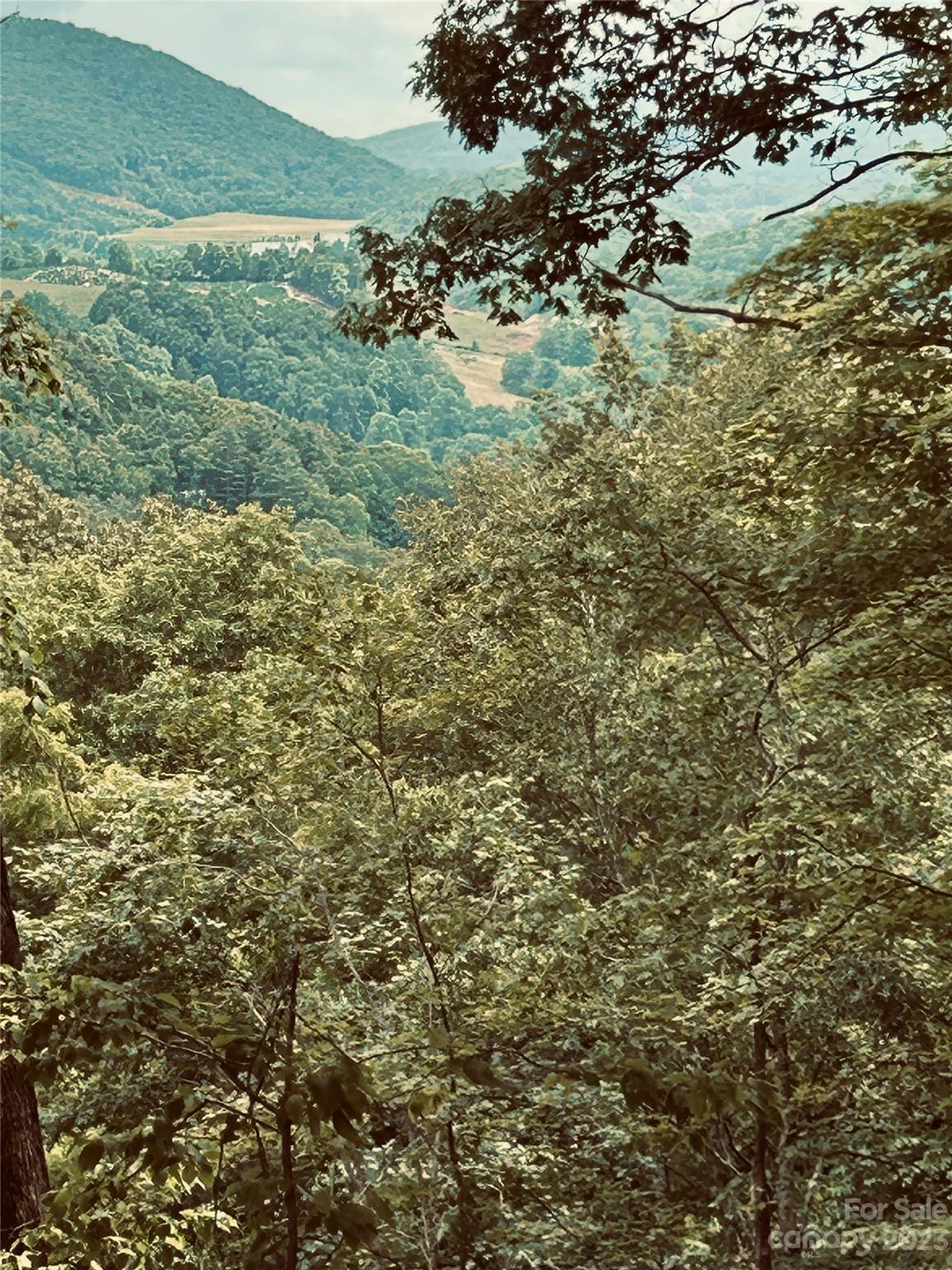 Poplar Forest - Land