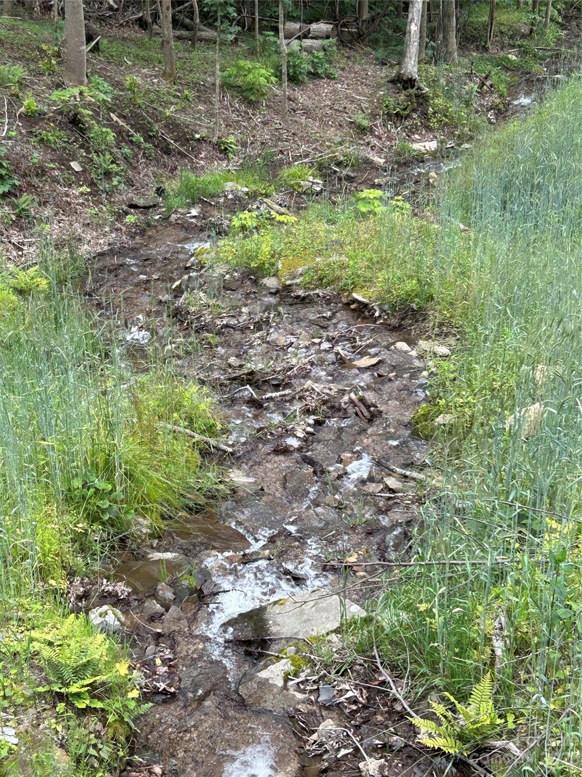 Poplar Forest - Land