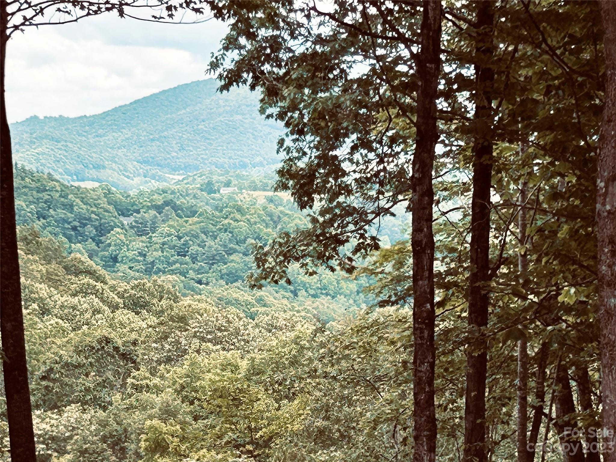 Poplar Forest - Land