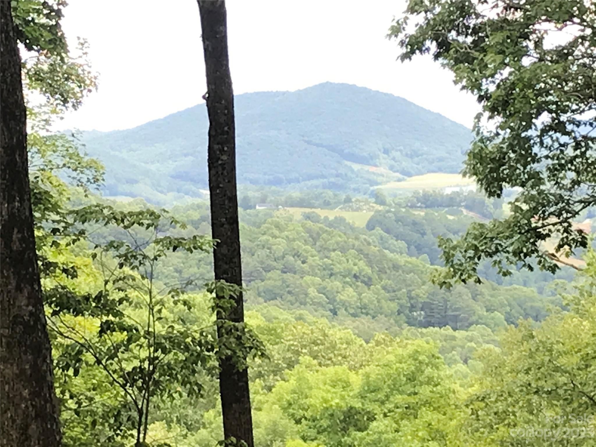 Lot 64 Poplar Forest Drive