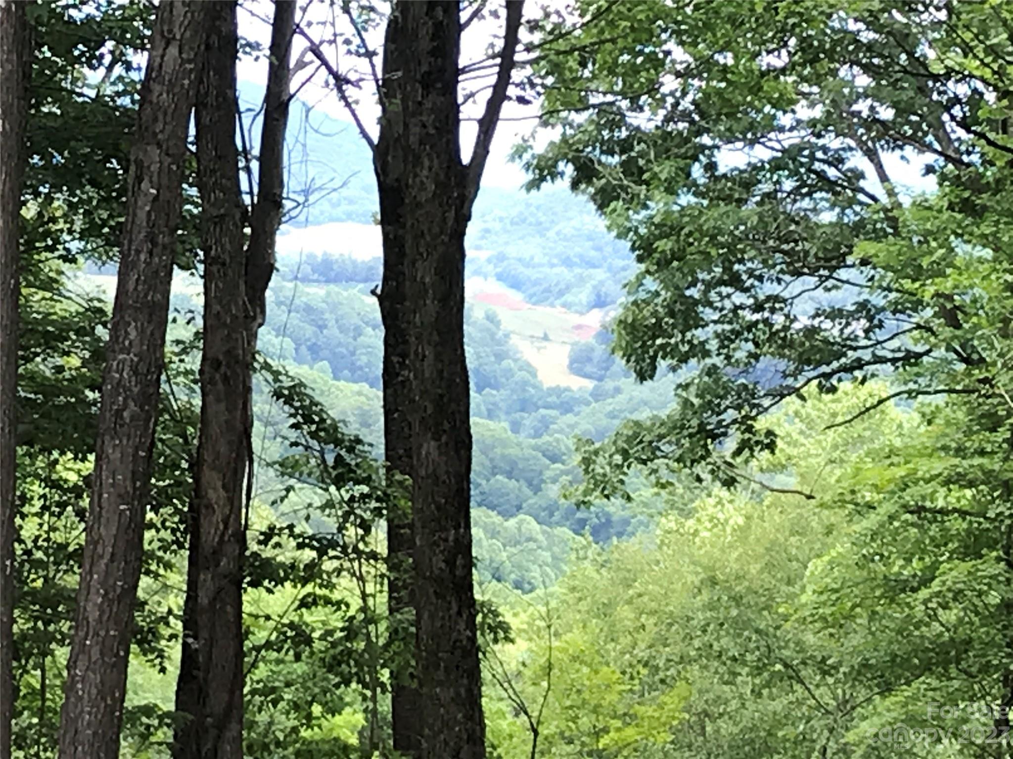 Poplar Forest - Land