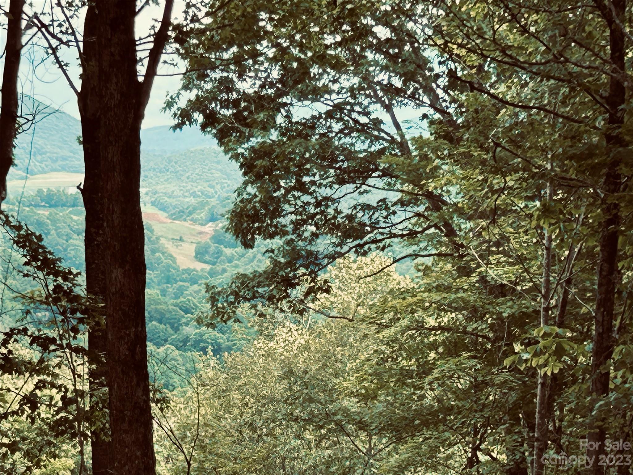 Poplar Forest - Land