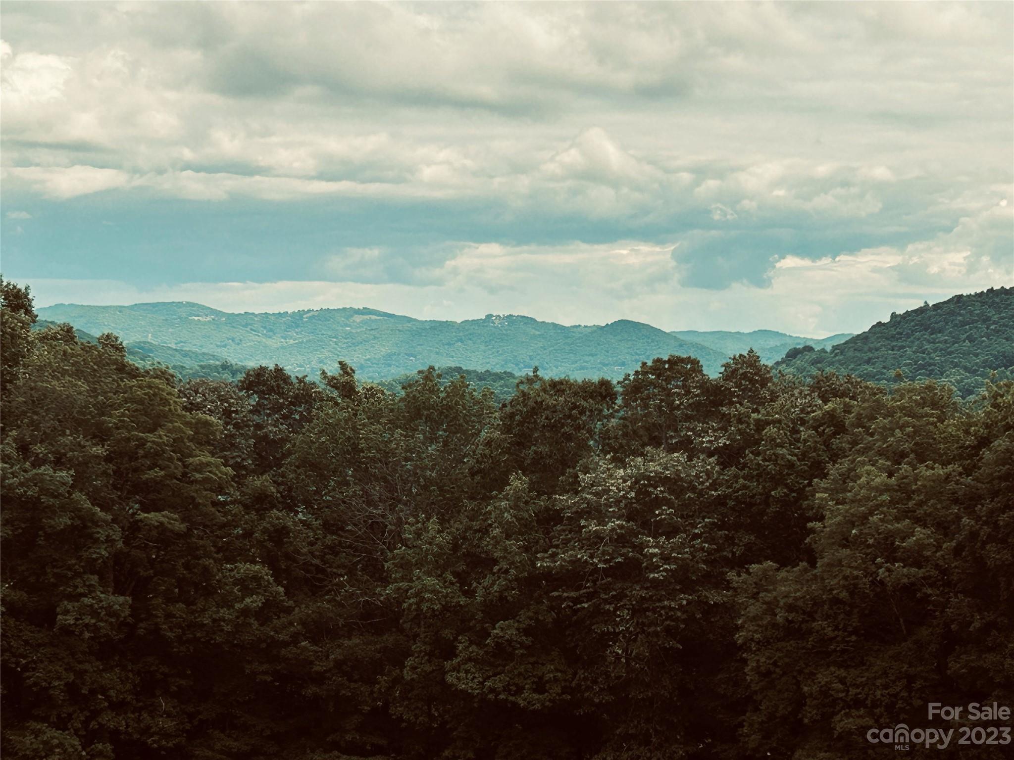 Poplar Forest - Land