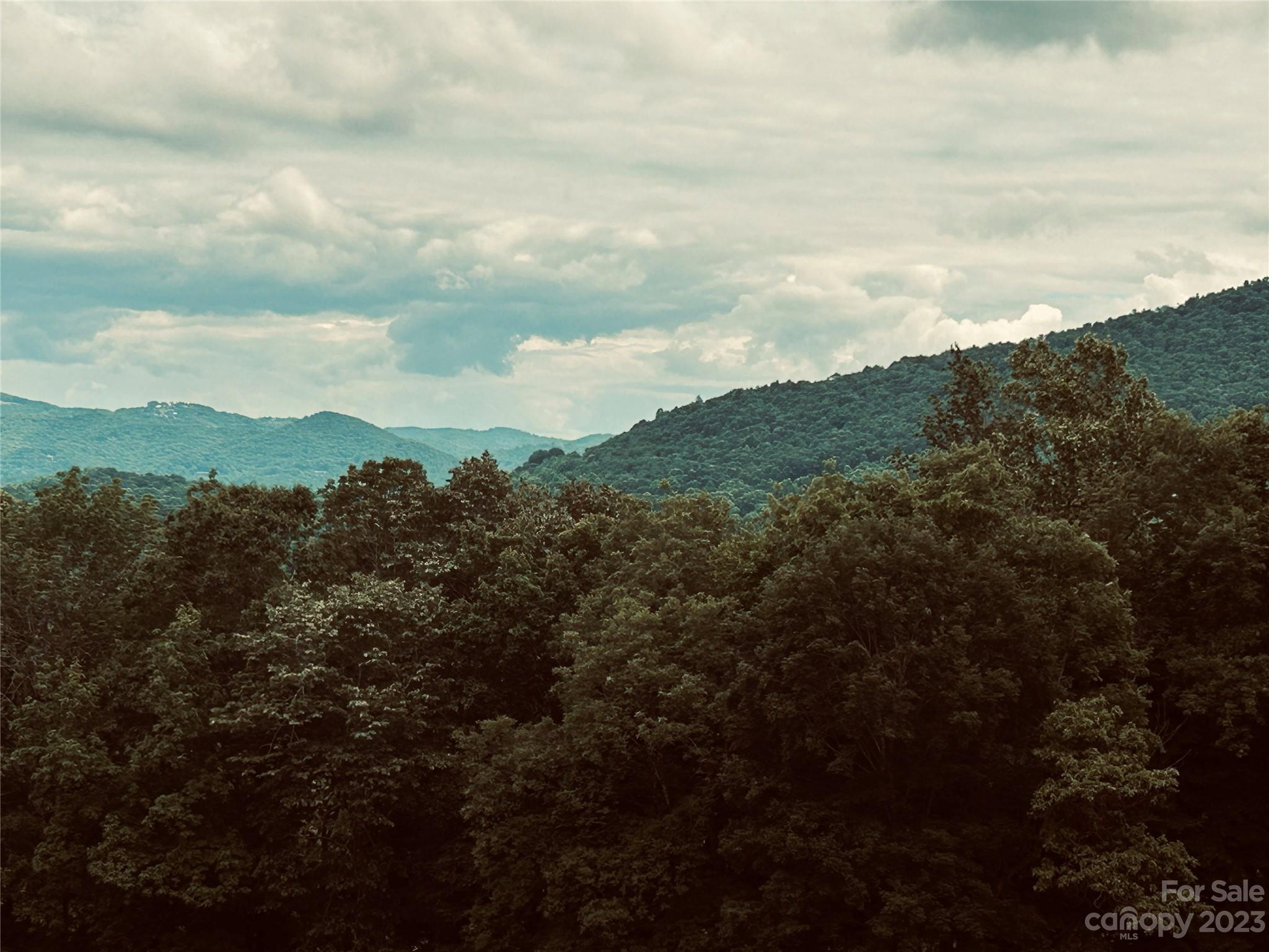 Poplar Forest - Land