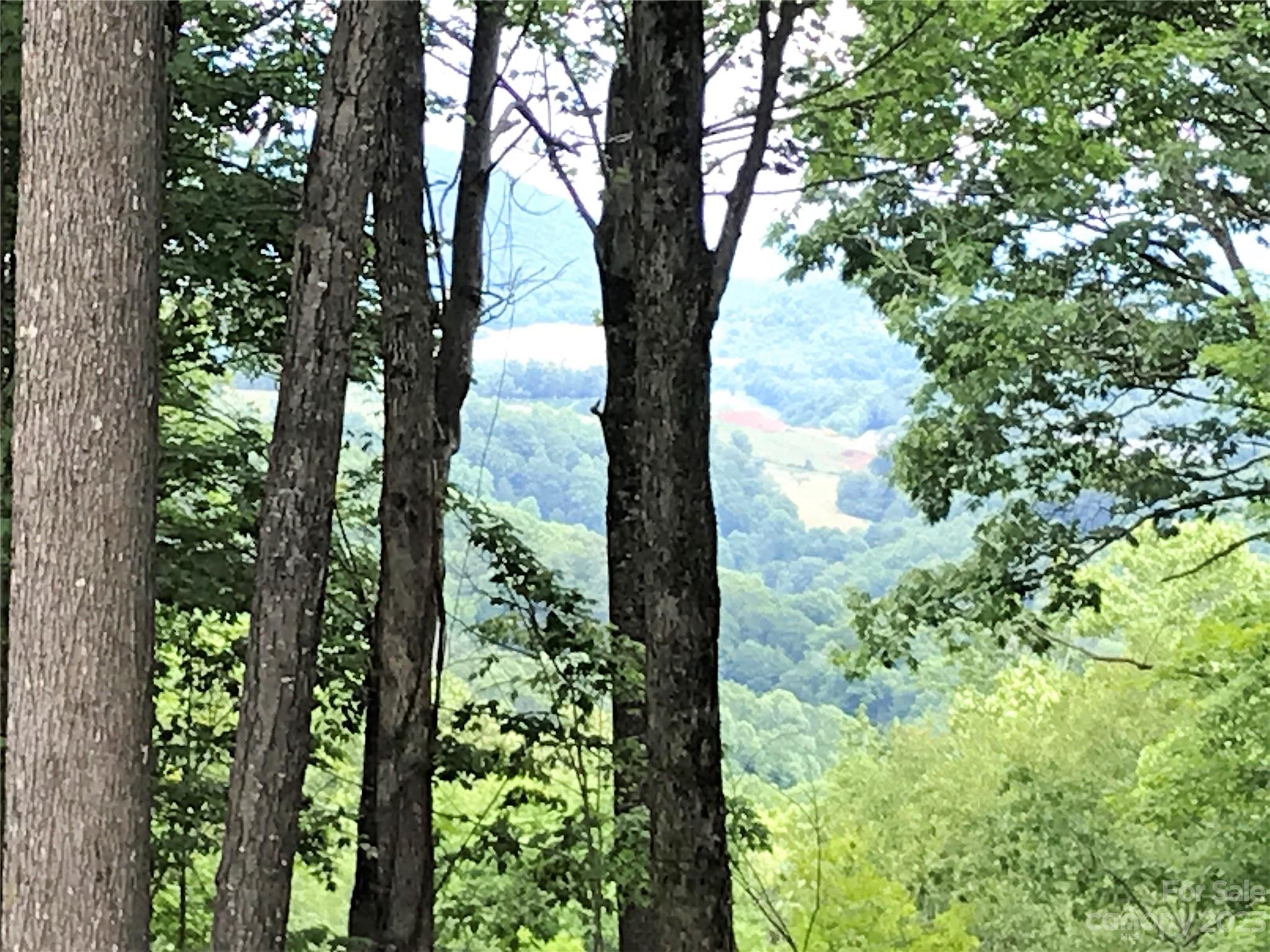 Poplar Forest - Land