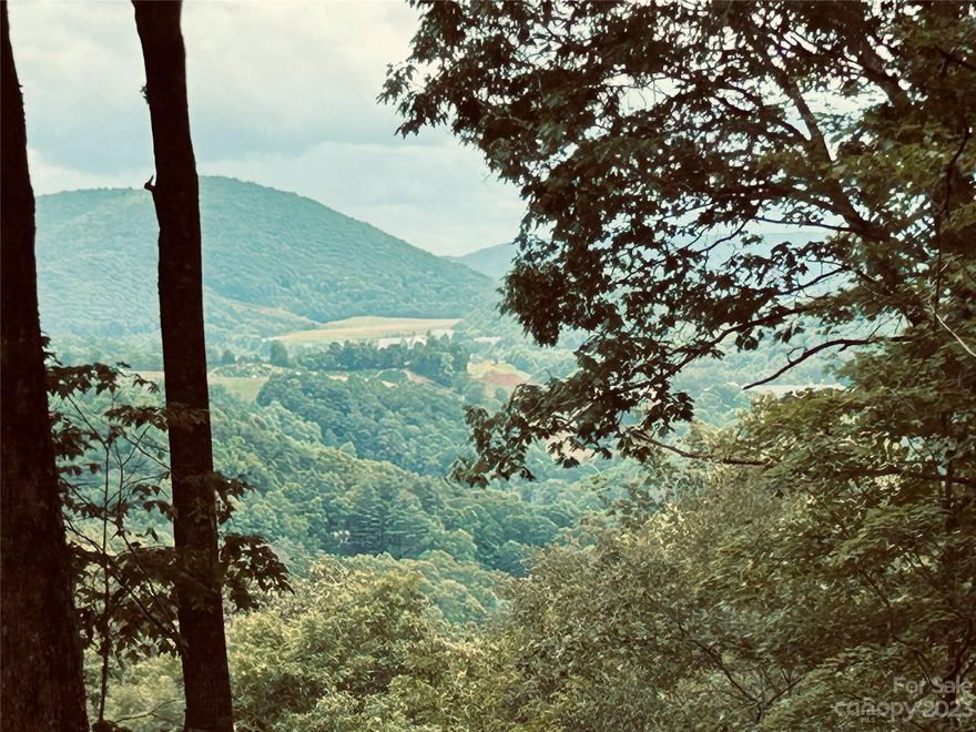 Located in one of Boone’s newest gated communities, Lot 64 in Poplar Forest offers 1.69 wooded acres with sweeping mountain and pastoral views. Just five minutes from downtown Boone, 20 minutes from Blowing Rock and the New River, and two hours from Charlotte, this property is ideal for those seeking outdoor adventure, seasonal escapes and Appalachian charm. The gently sloped lot supports a custom build with crawl space or basement. A 4-bedroom septic permit is in place. Infrastructure includes paved roads, power and fiber optics. Design your retreat where nature, privacy and connectivity converge. Well needed. Short- and long-term rentals permitted.