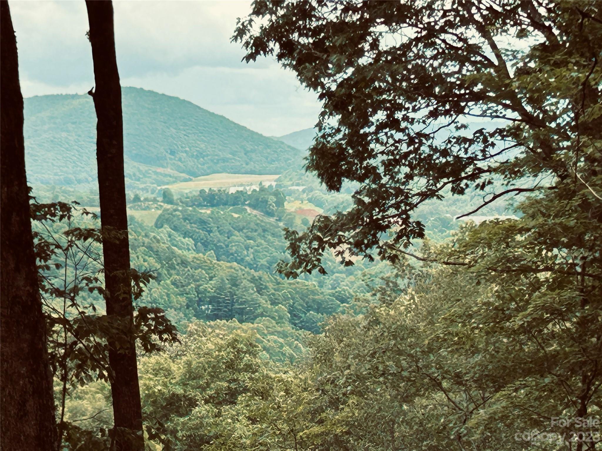 Poplar Forest - Land