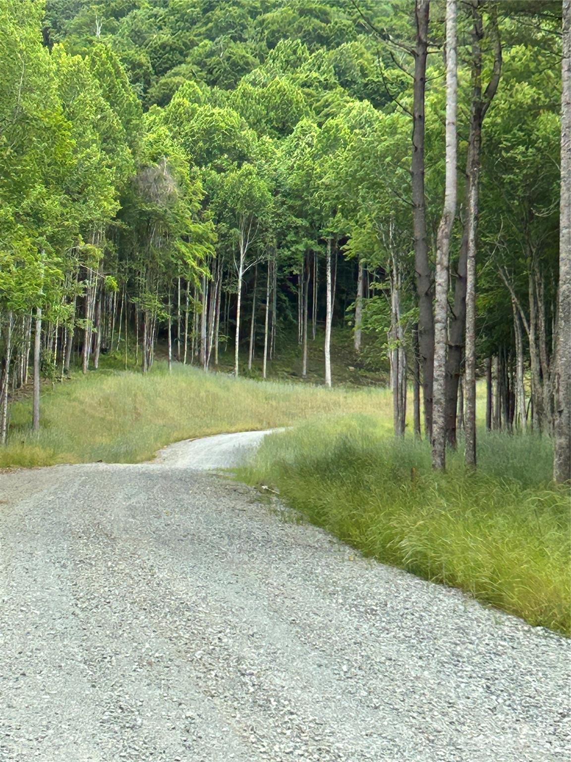 Poplar Forest - Land