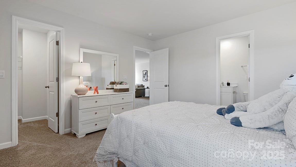 Reedy Creek Preserve - Residential