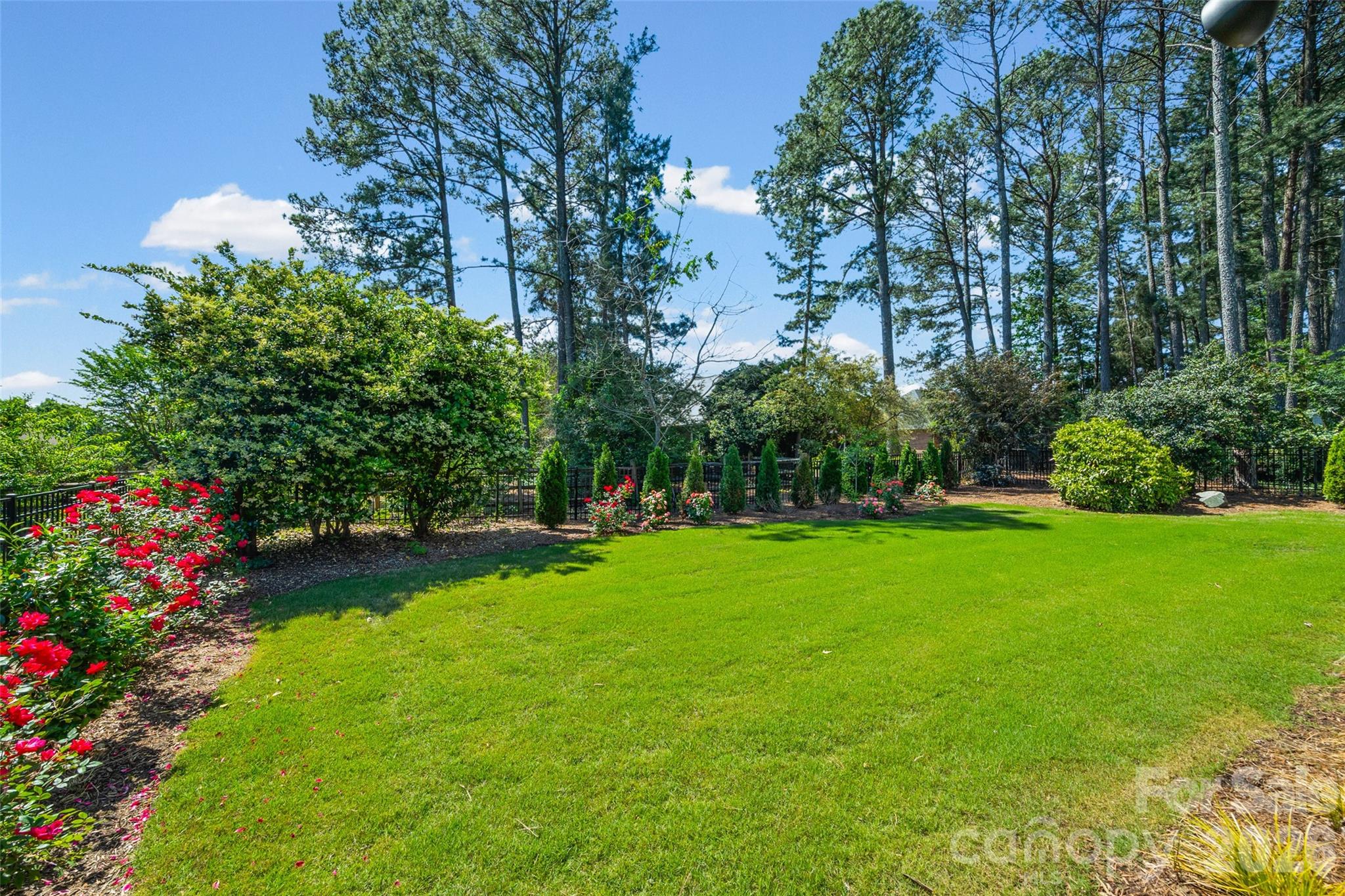 Palmetto Plantation - Residential