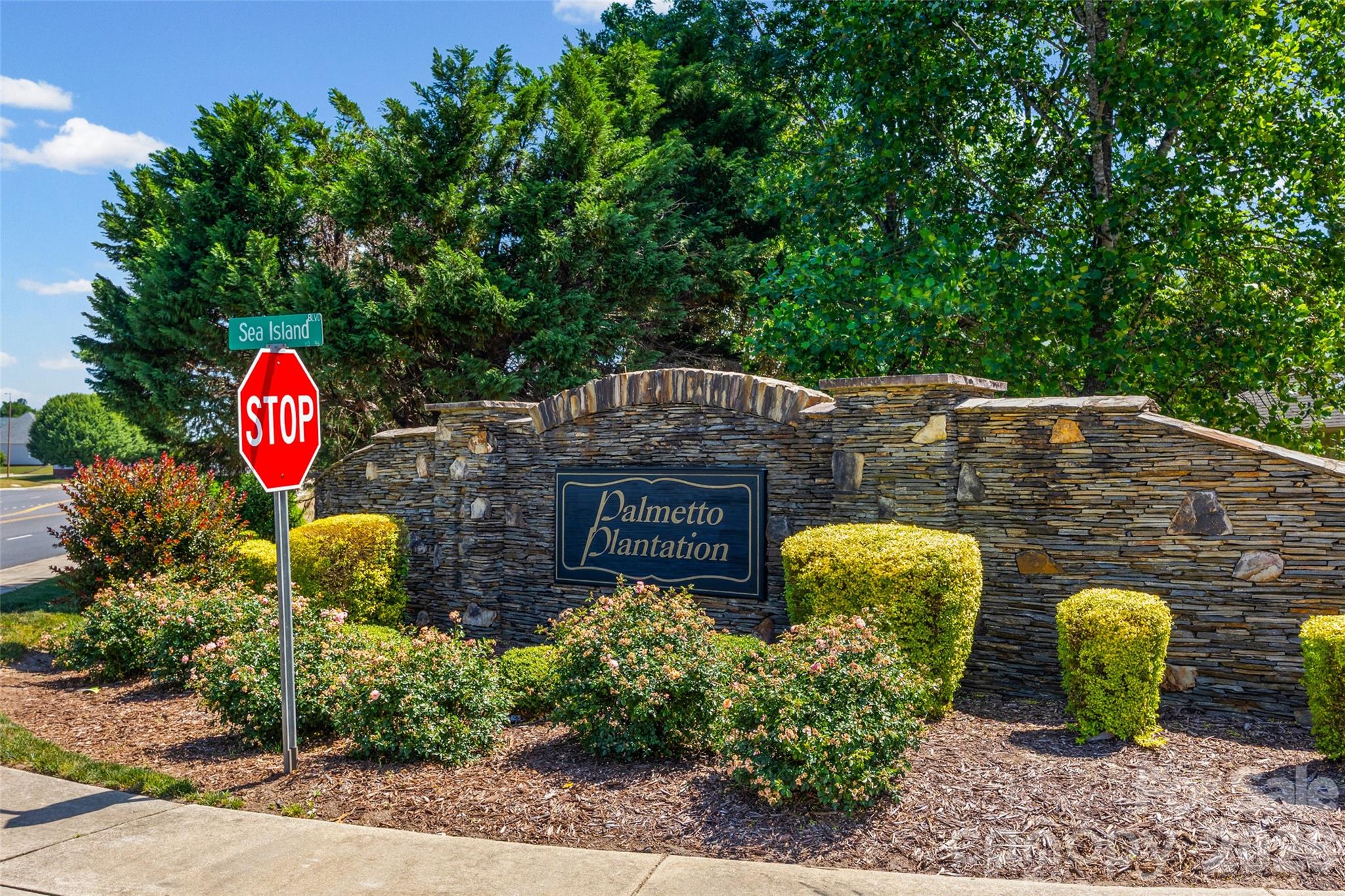 Palmetto Plantation - Residential