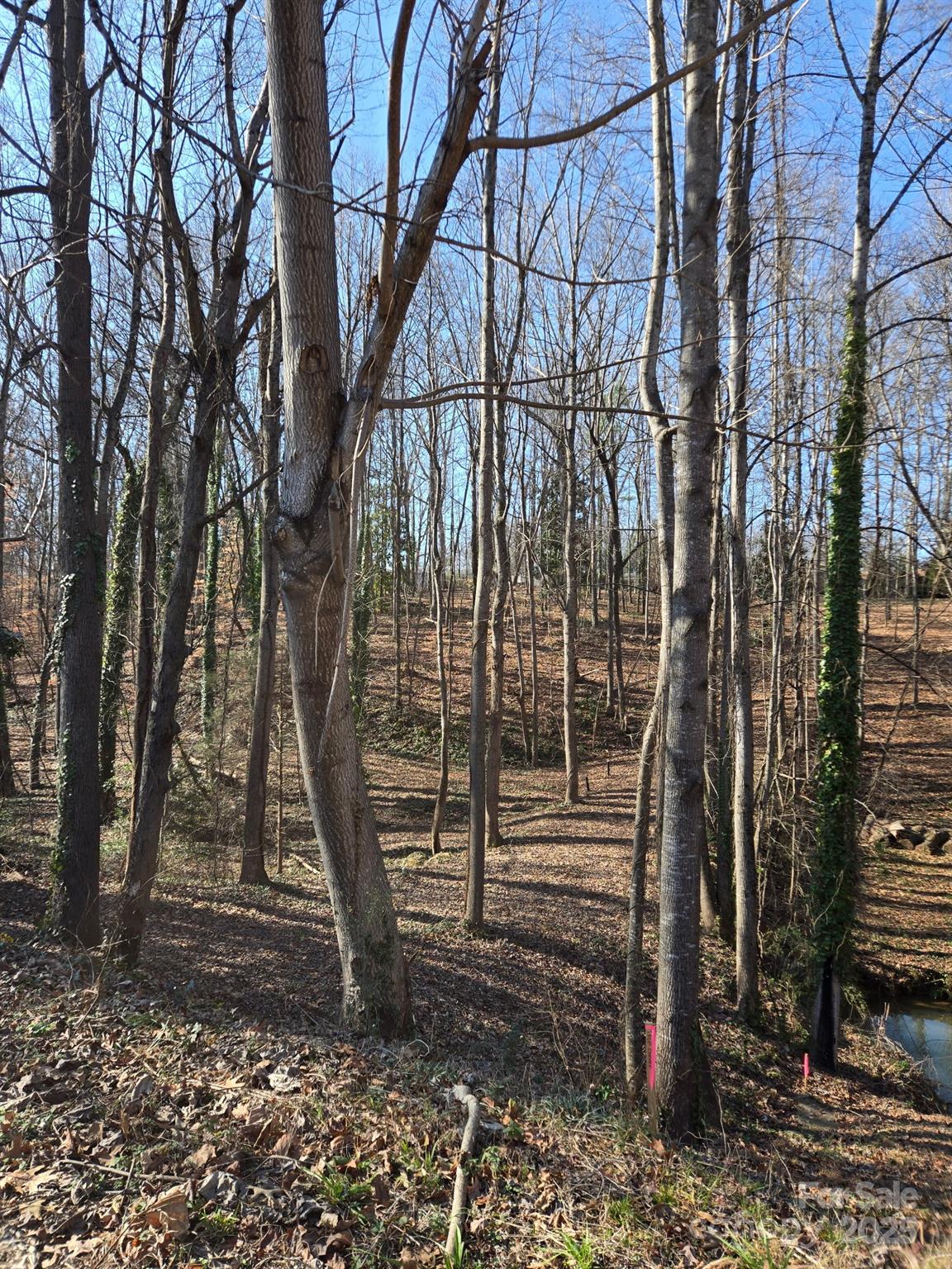 000 Spring Valley Lane