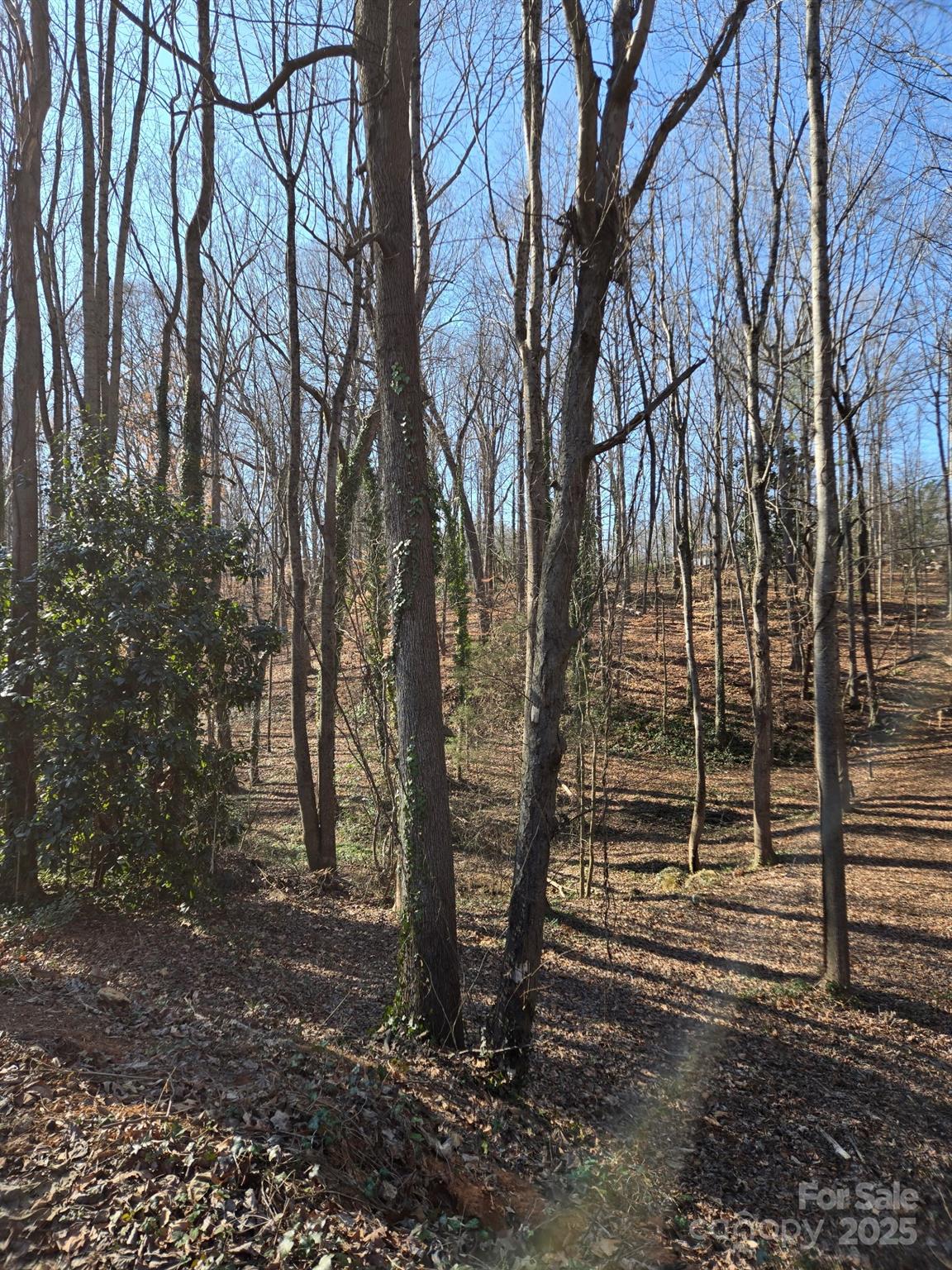 Brookwood Hills - Land