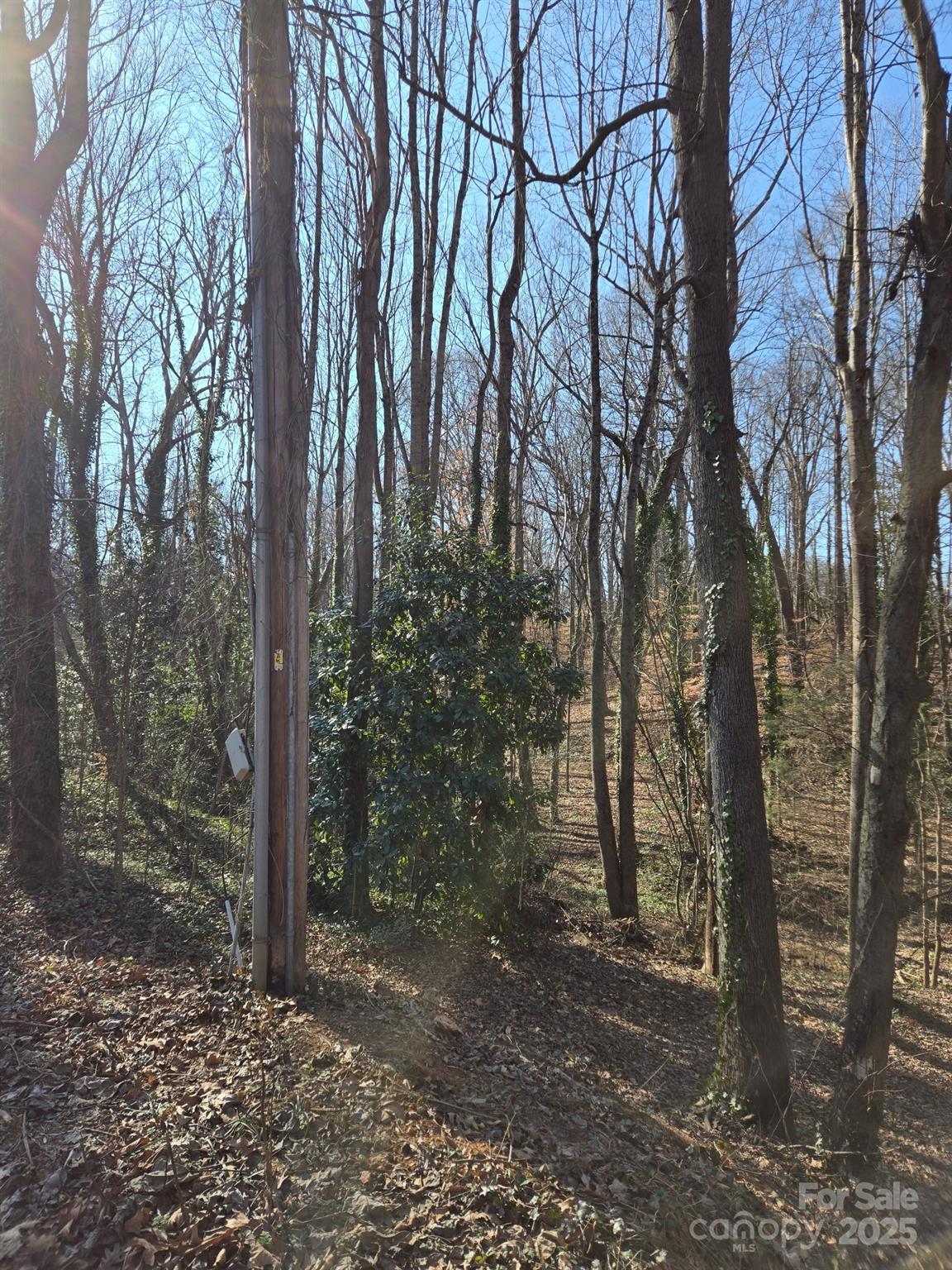 Brookwood Hills - Land