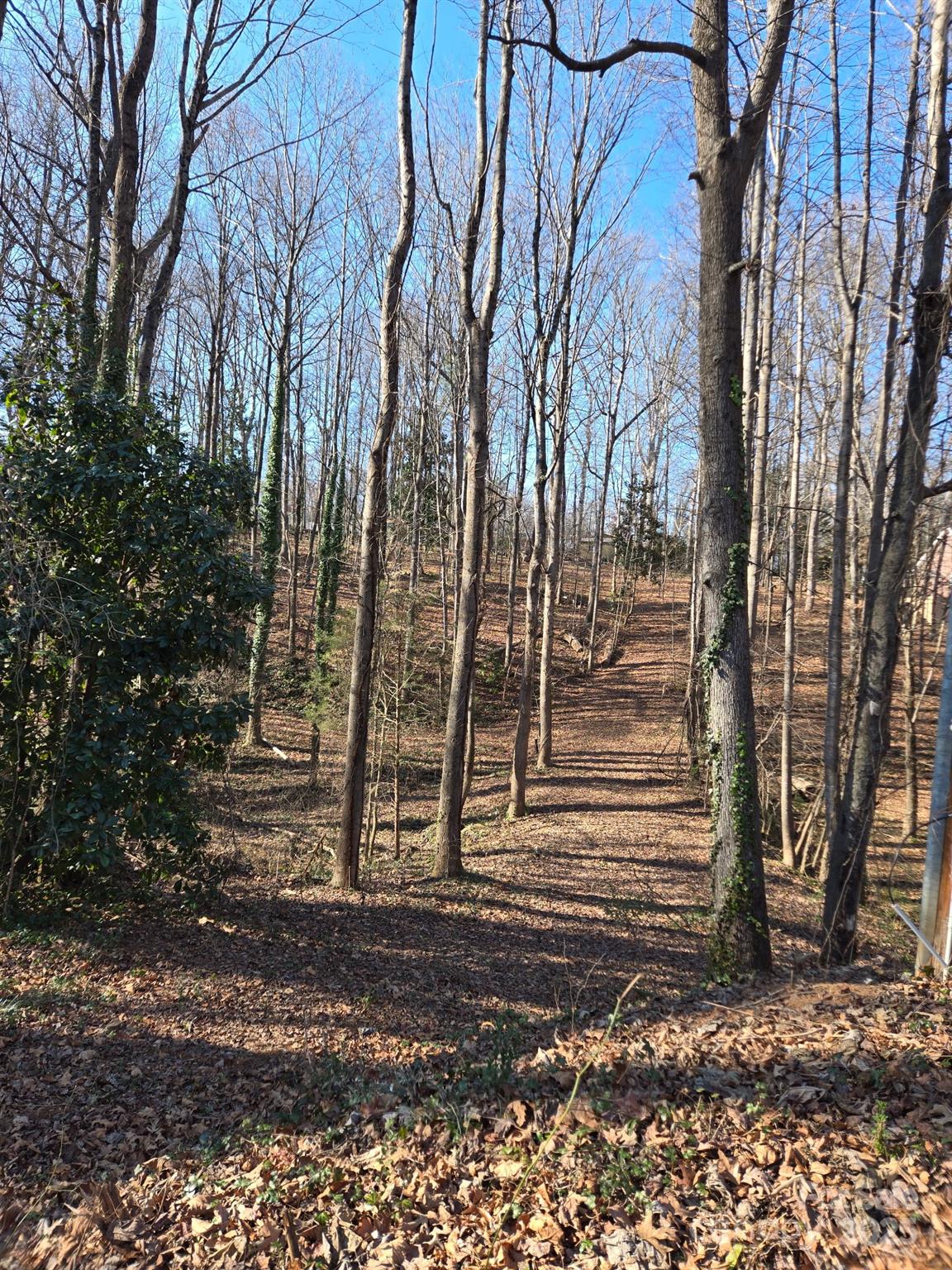 Brookwood Hills - Land