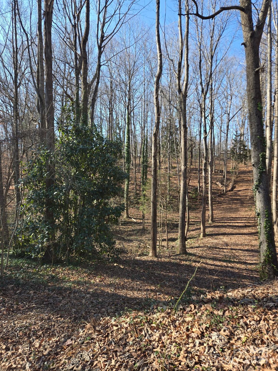 Brookwood Hills - Land