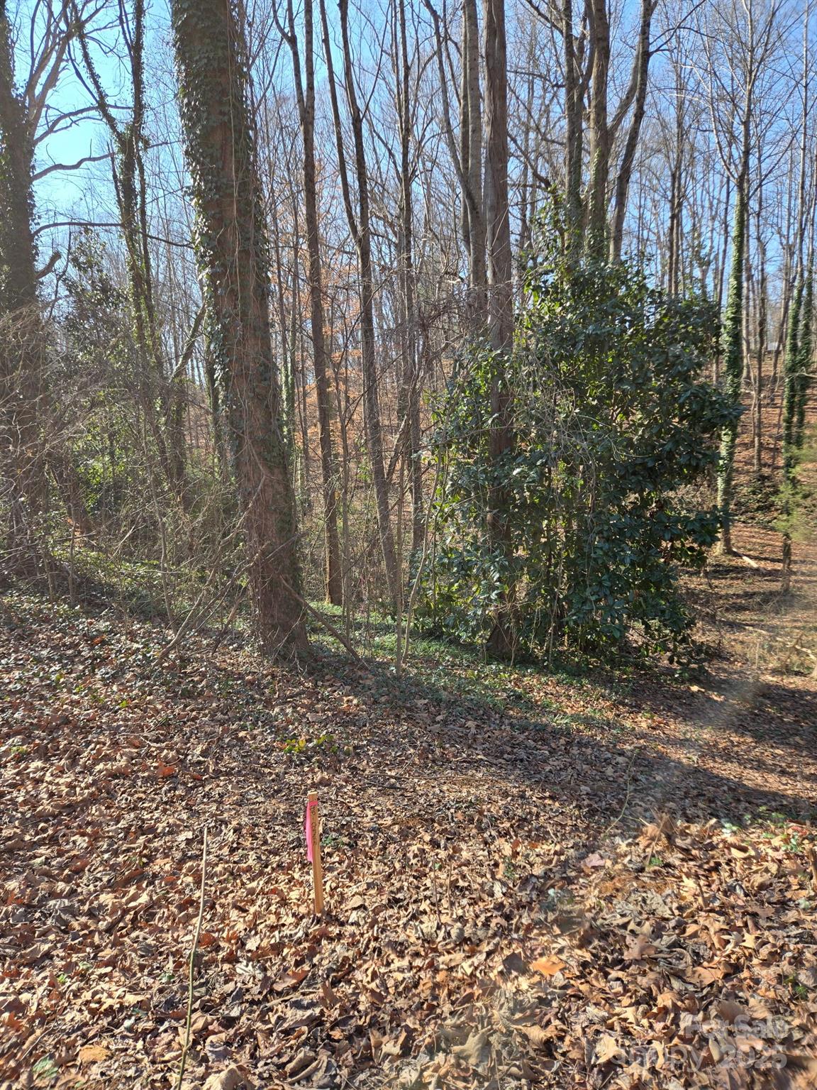 Brookwood Hills - Land