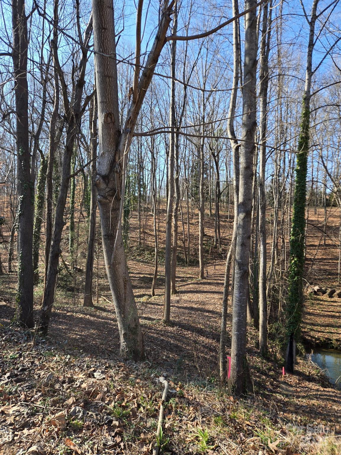 000 Spring Valley Lane