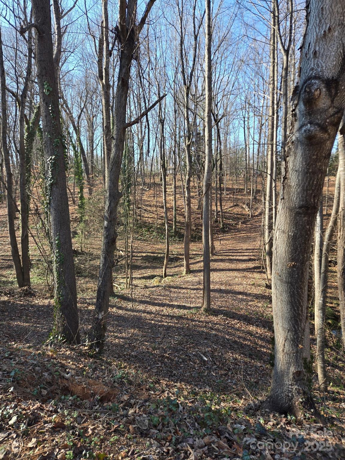 000 Spring Valley Lane