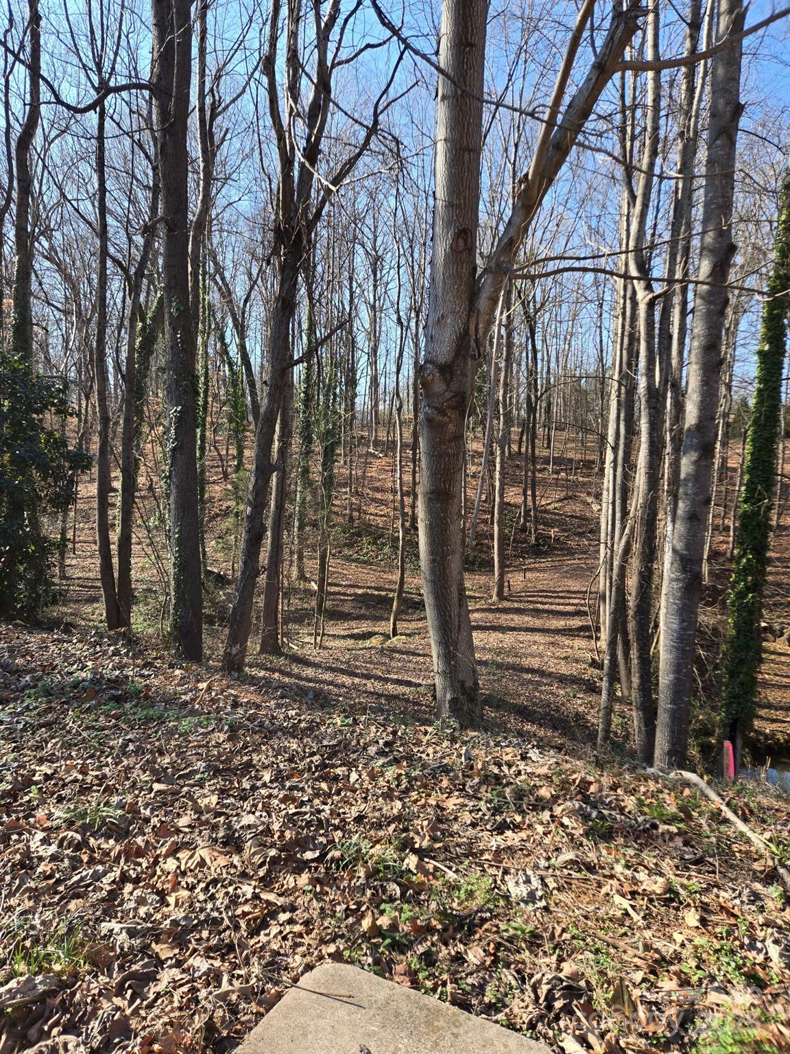 Brookwood Hills - Land