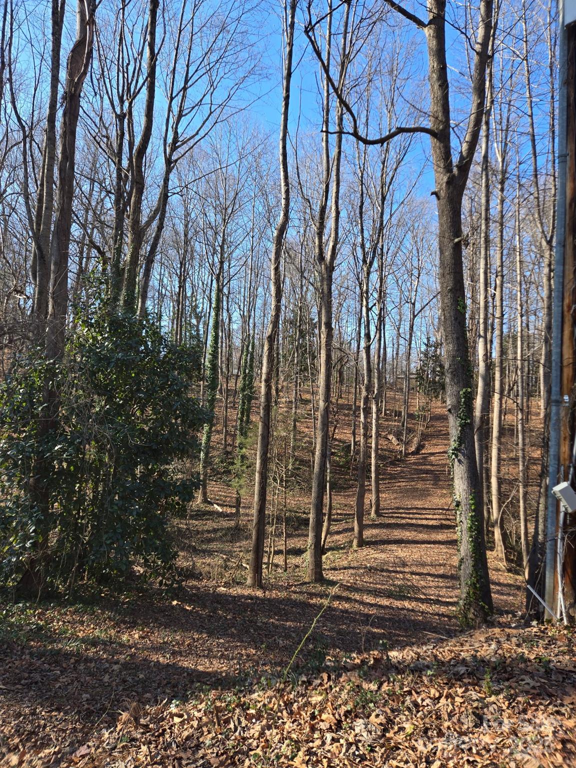 Brookwood Hills - Land