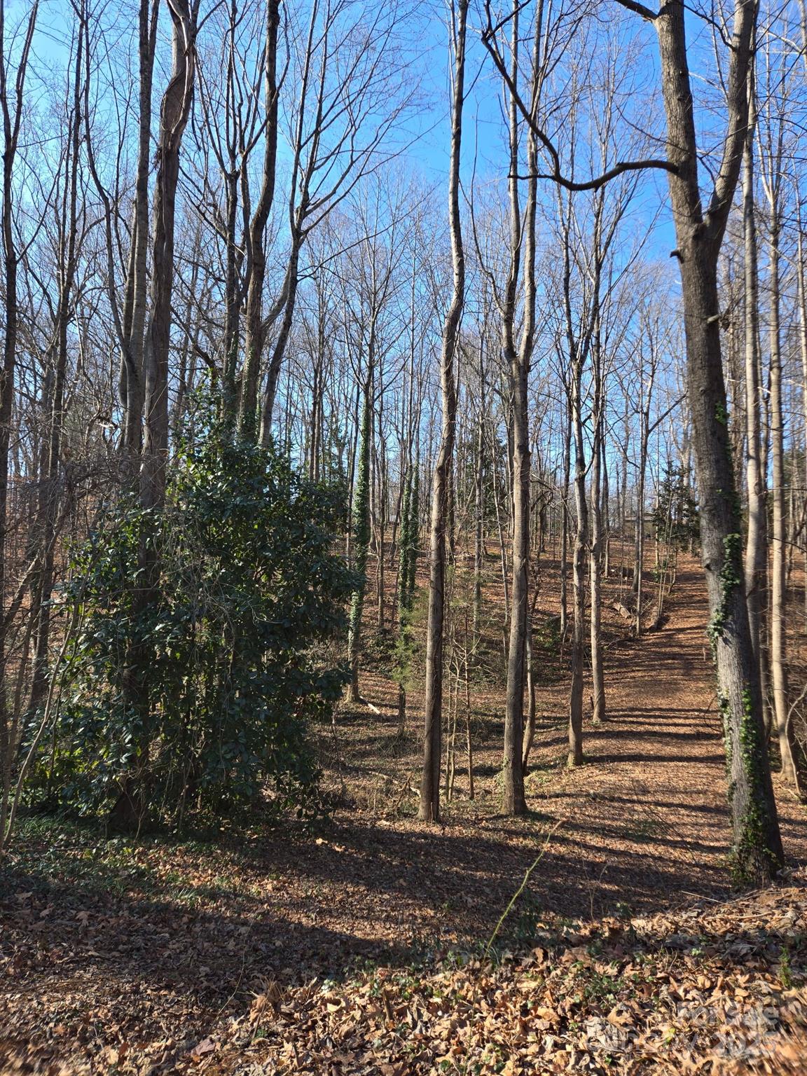 Brookwood Hills - Land