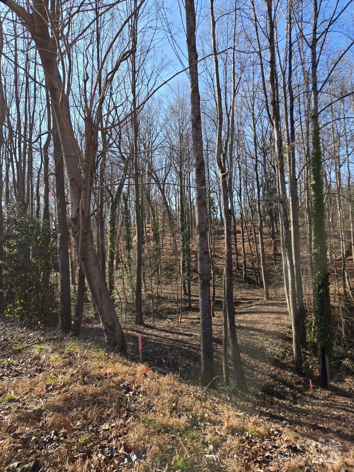 000 Spring Valley Lane