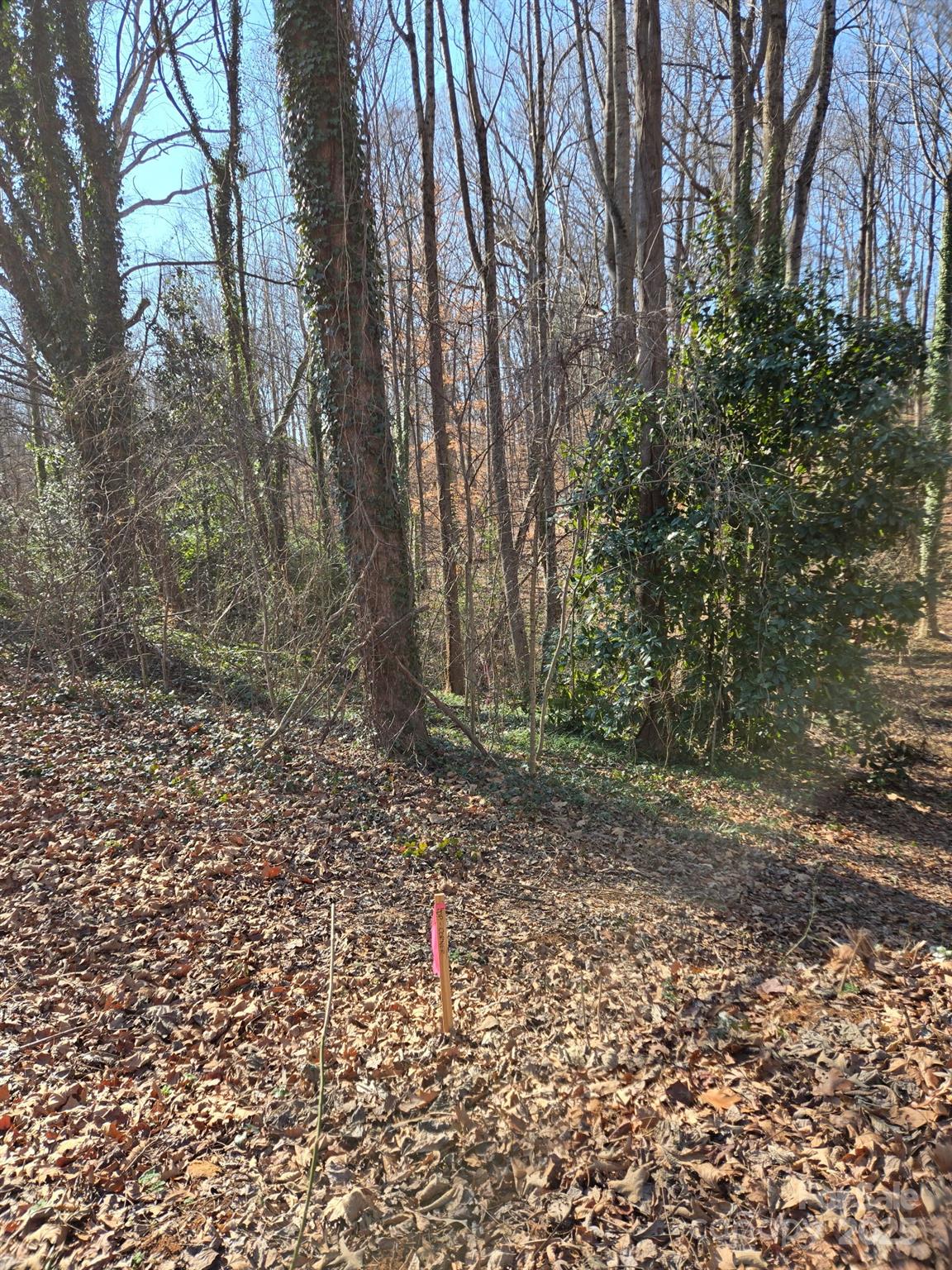 Brookwood Hills - Land