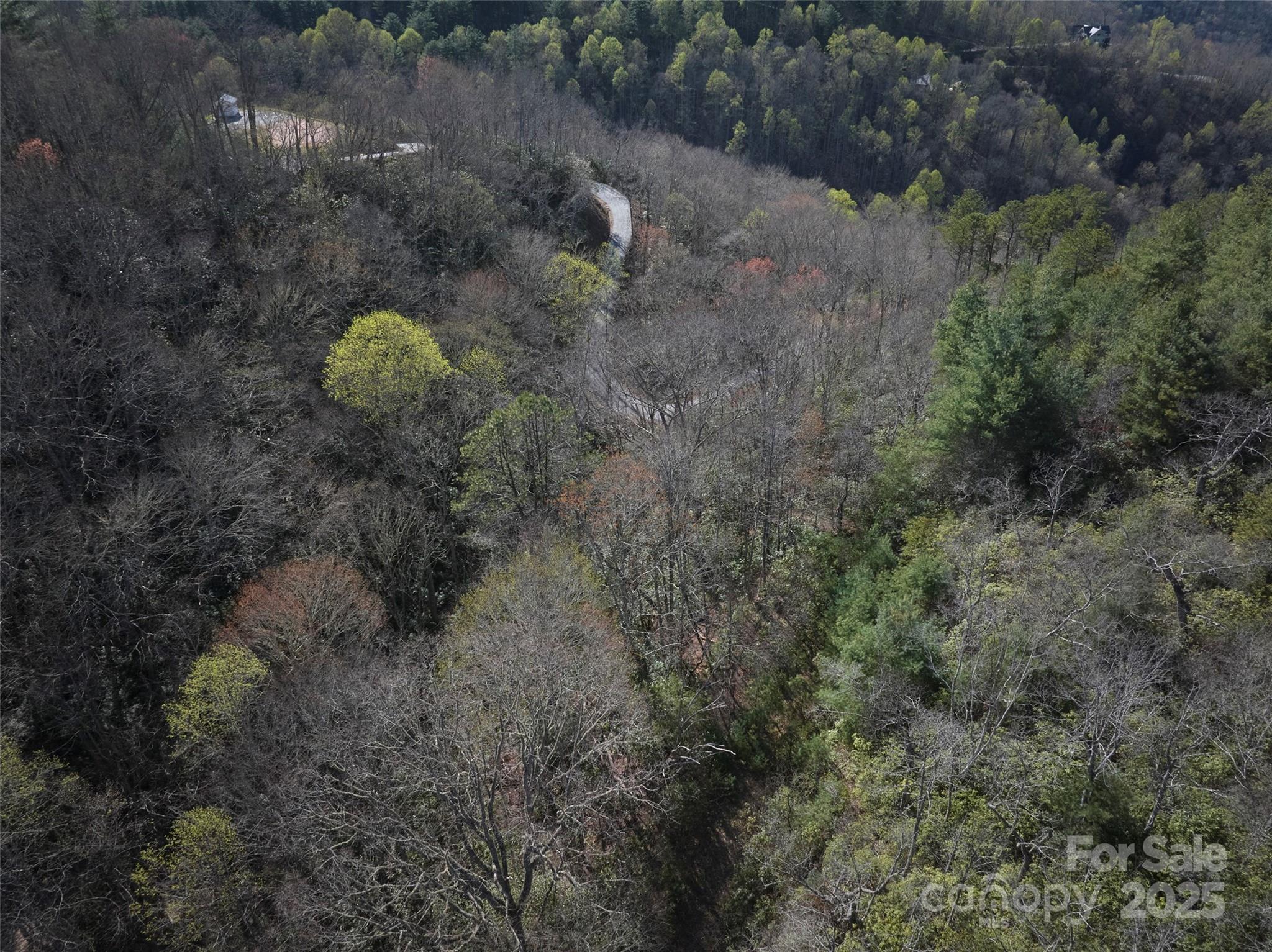 0 Conley Mountain Association Road