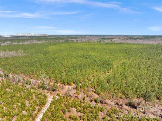 931 CHARLIE JOHNSON RD # 2, KERSHAW, SC 29067 - Image f7696045ea153451cb7ffbb6d2f96d0f/3309574402
