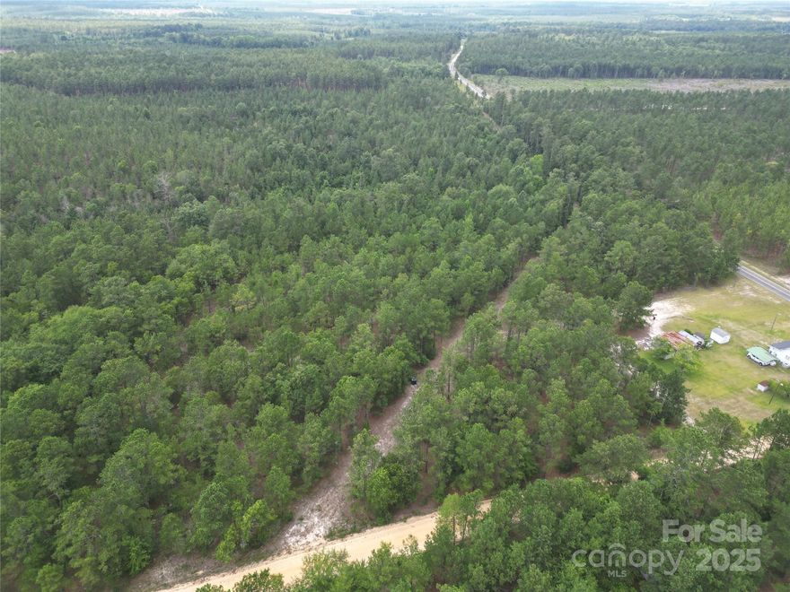 This 3.2-acre wooded lot in Kershaw County, SC offers a peaceful setting with beautiful pine trees and plenty of privacy. It’s a great spot for a hunting retreat, weekend cabin, or a full-time home. Mobile, modular, and stick-built homes are all allowed. Located just an hour from Columbia and an hour and a half from Charlotte, it offers the perfect balance of seclusion and accessibility.