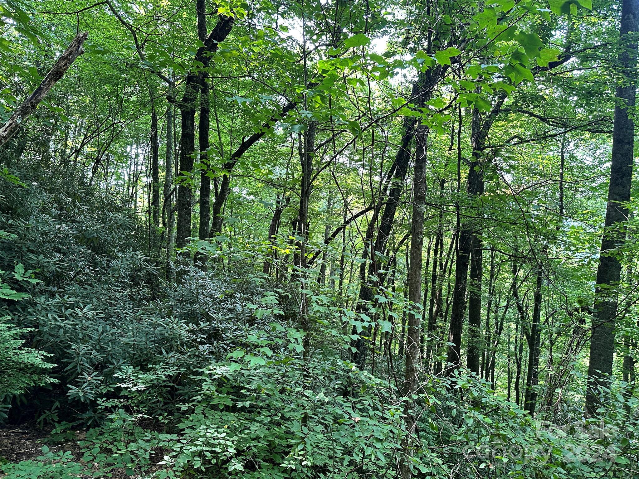 Fairview Forest Estates - Land