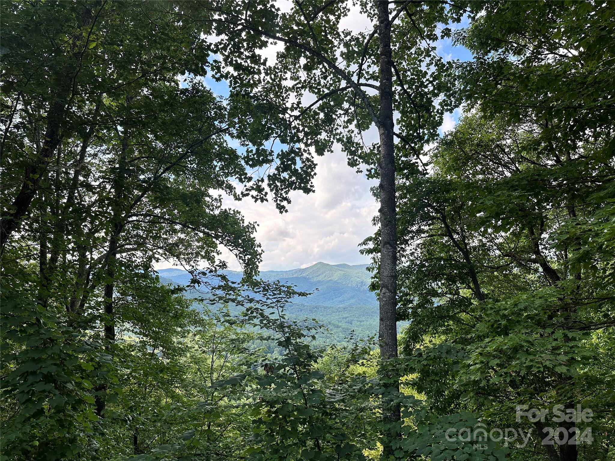 Fairview Forest Estates - Land