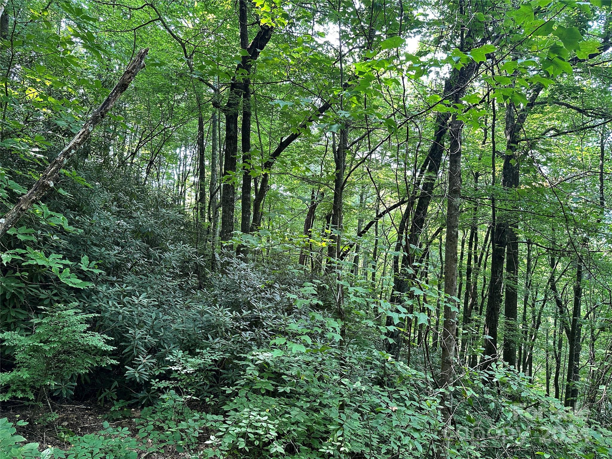 Fairview Forest Estates - Land