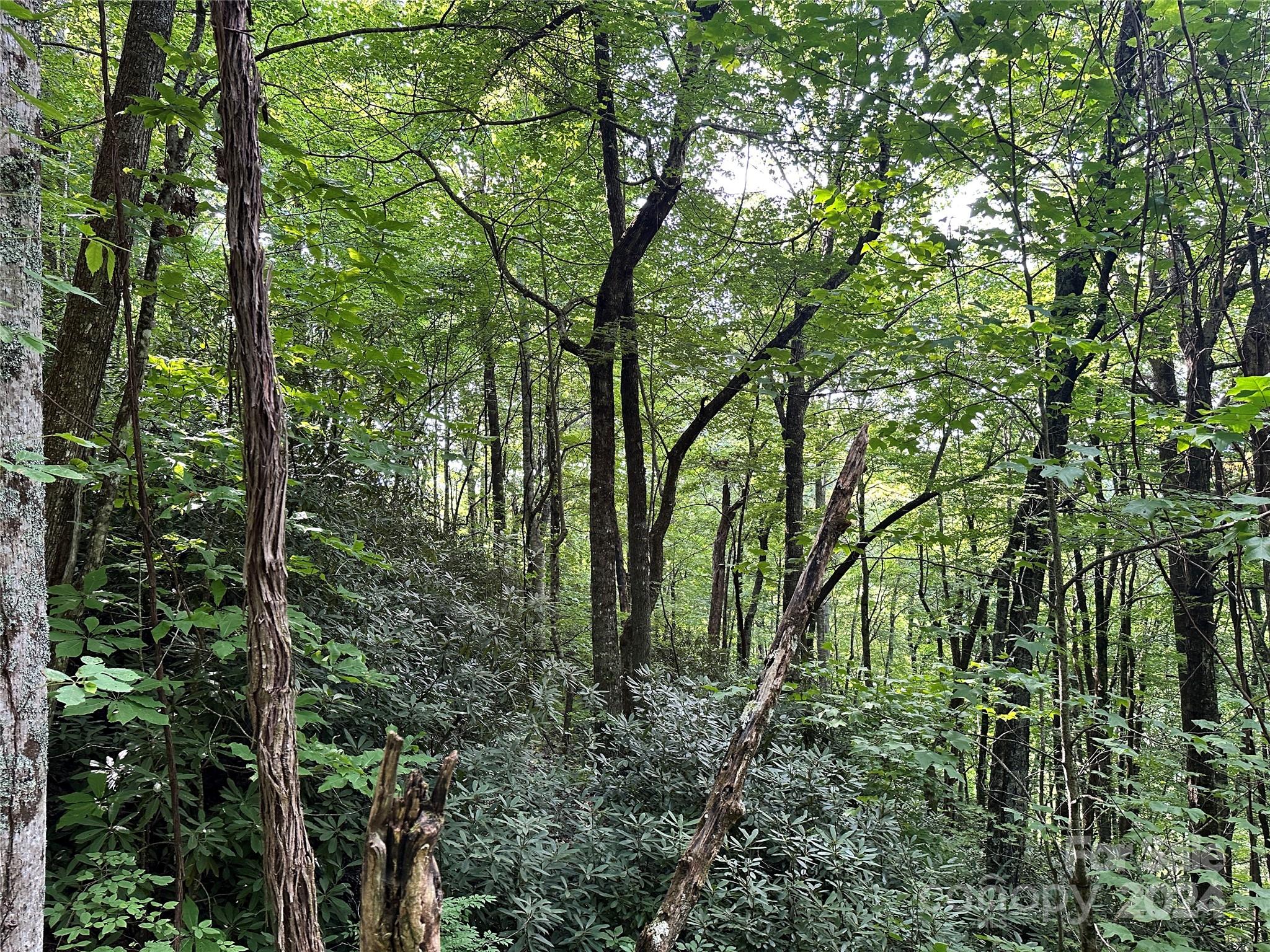 Fairview Forest Estates - Land