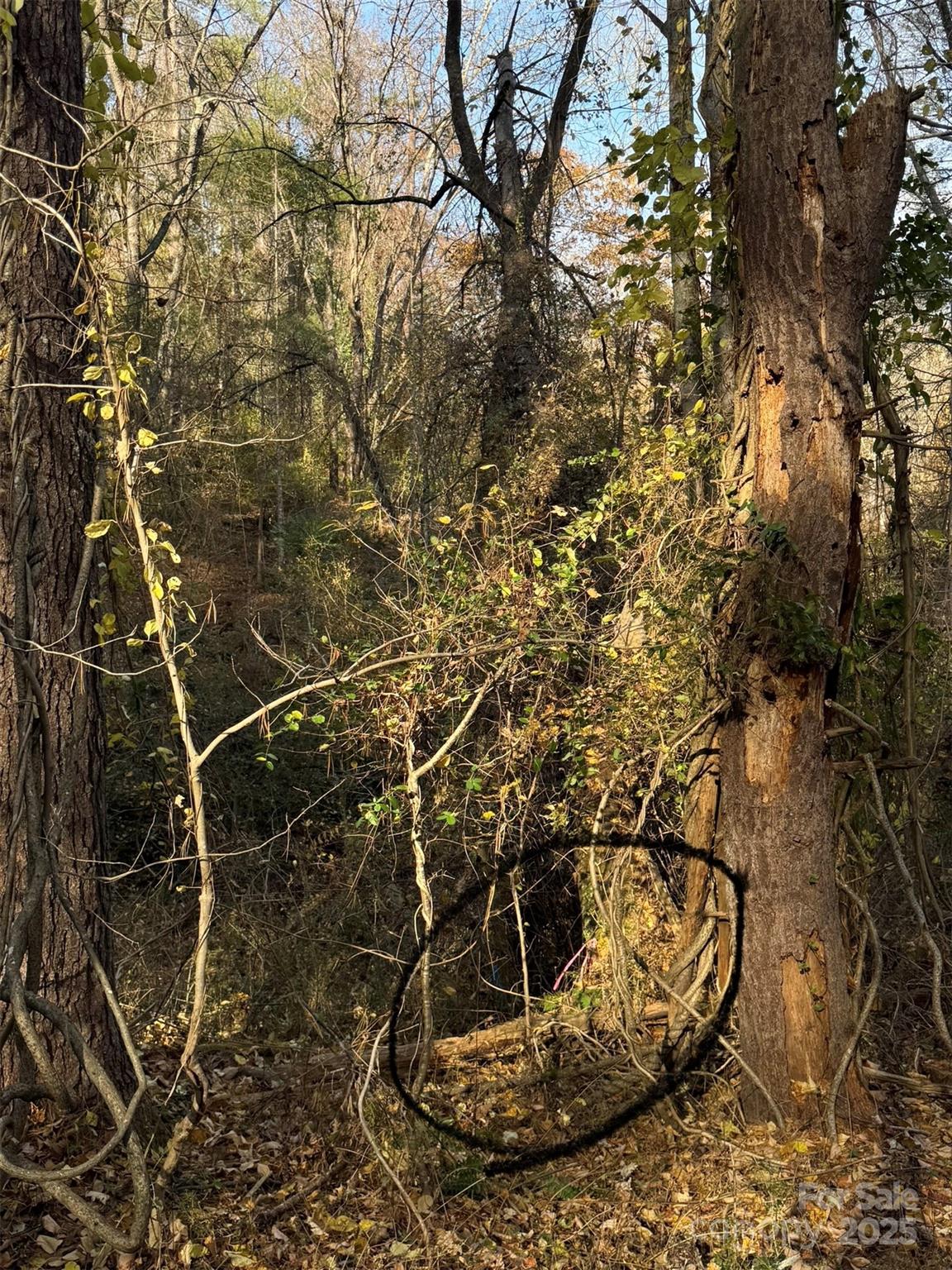 99999 Old Macedonia Road