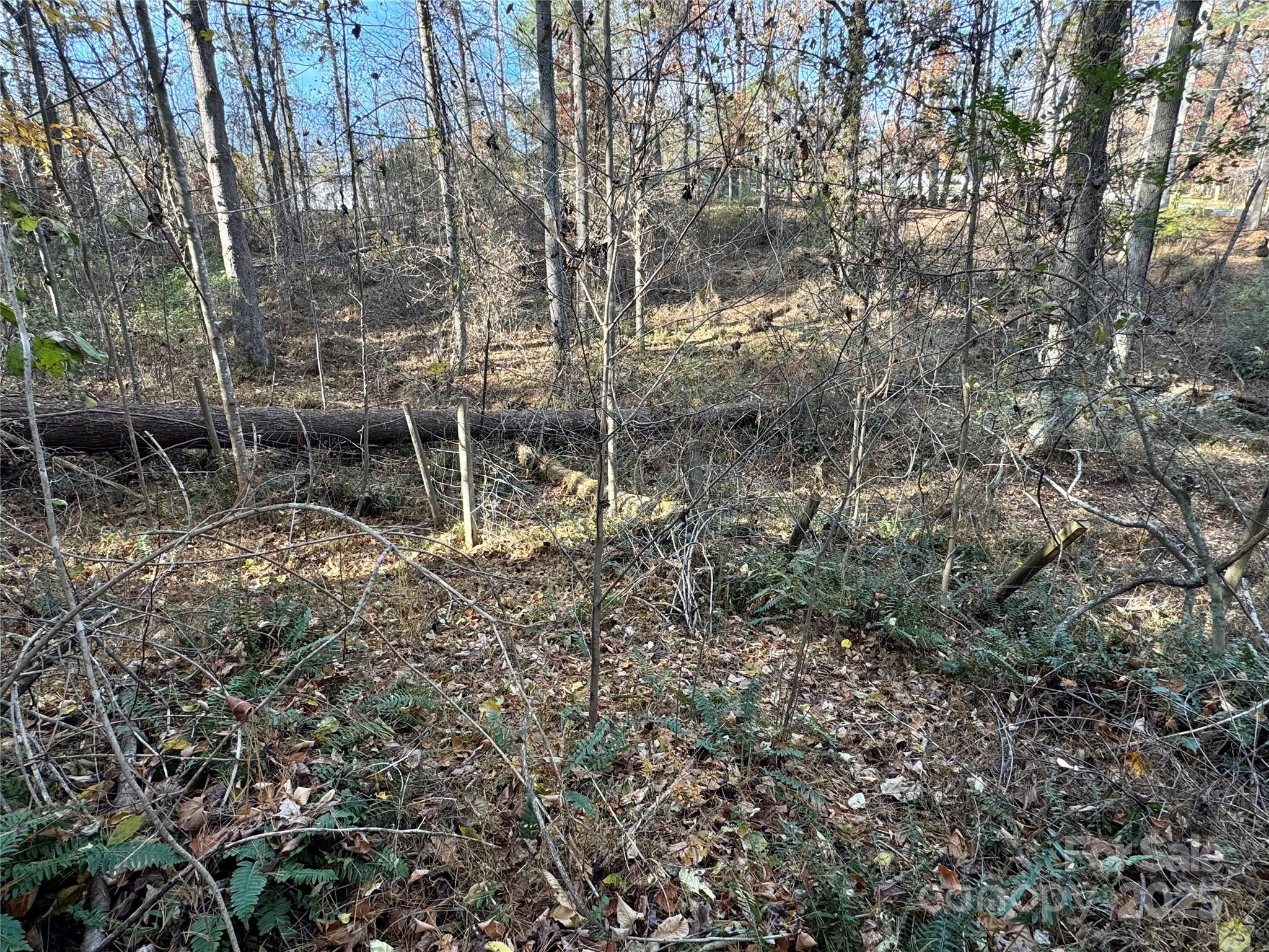 99999 Old Macedonia Road