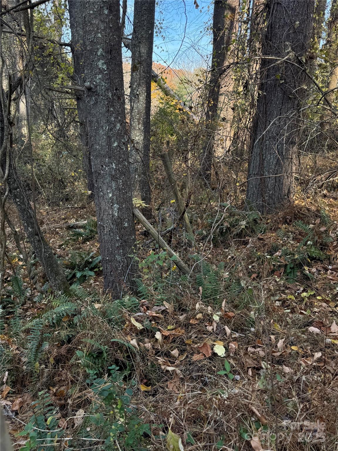 99999 Old Macedonia Road