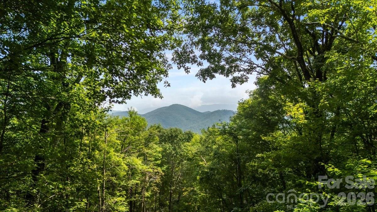 67 Birch Springs Lane 218